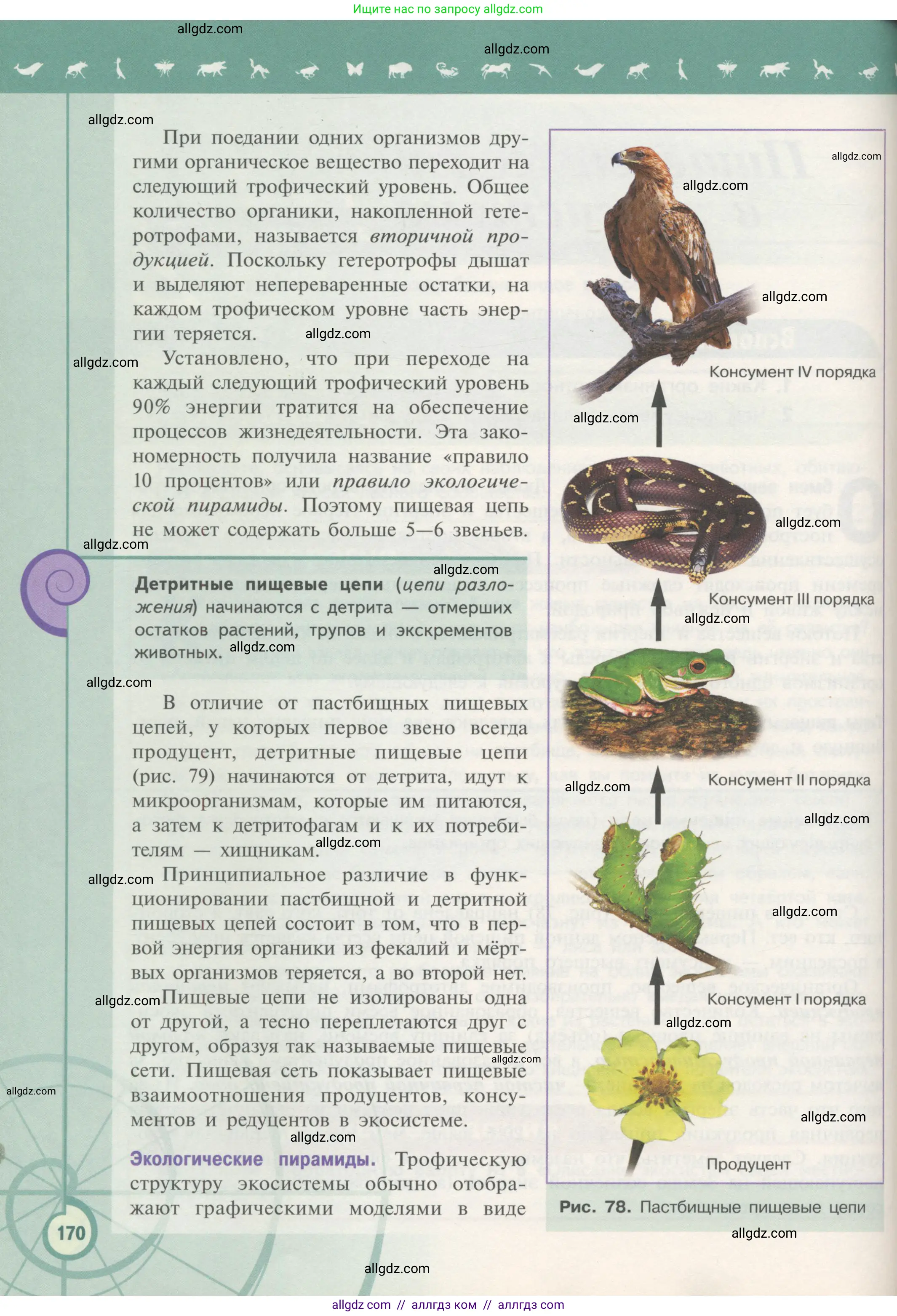 Биология, 11 класс Учебник, авторы: Пасечник Владимир Васильевич, Каменский Андрей Александрович, Рубцов Александр Михайлович, Швецов Глеб Геннадьевич, Гапонюк Зоя Георгиевна, издательство Просвещение, Москва, 2018, страница 170