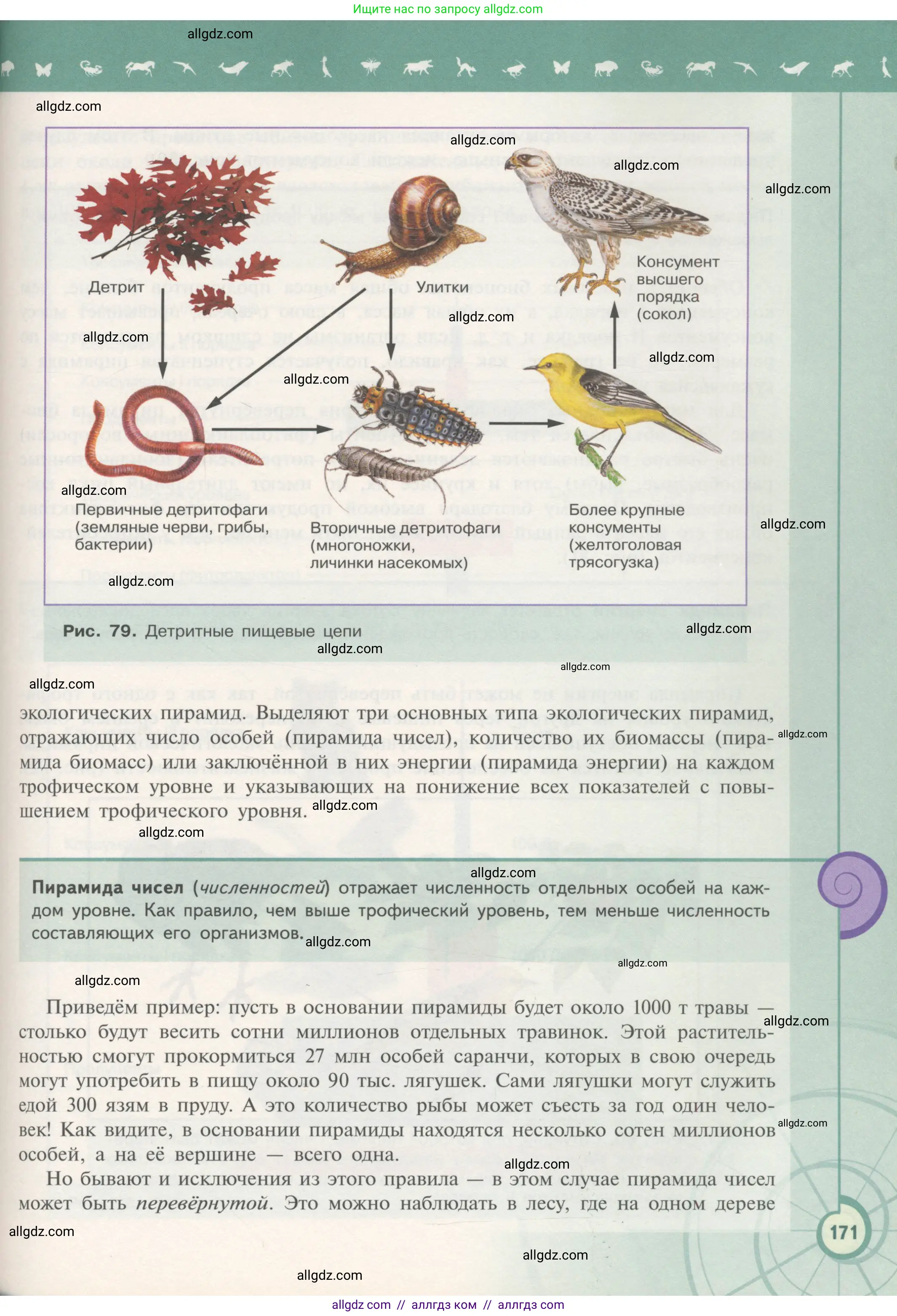 Биология, 11 класс Учебник, авторы: Пасечник Владимир Васильевич, Каменский Андрей Александрович, Рубцов Александр Михайлович, Швецов Глеб Геннадьевич, Гапонюк Зоя Георгиевна, издательство Просвещение, Москва, 2018, страница 171