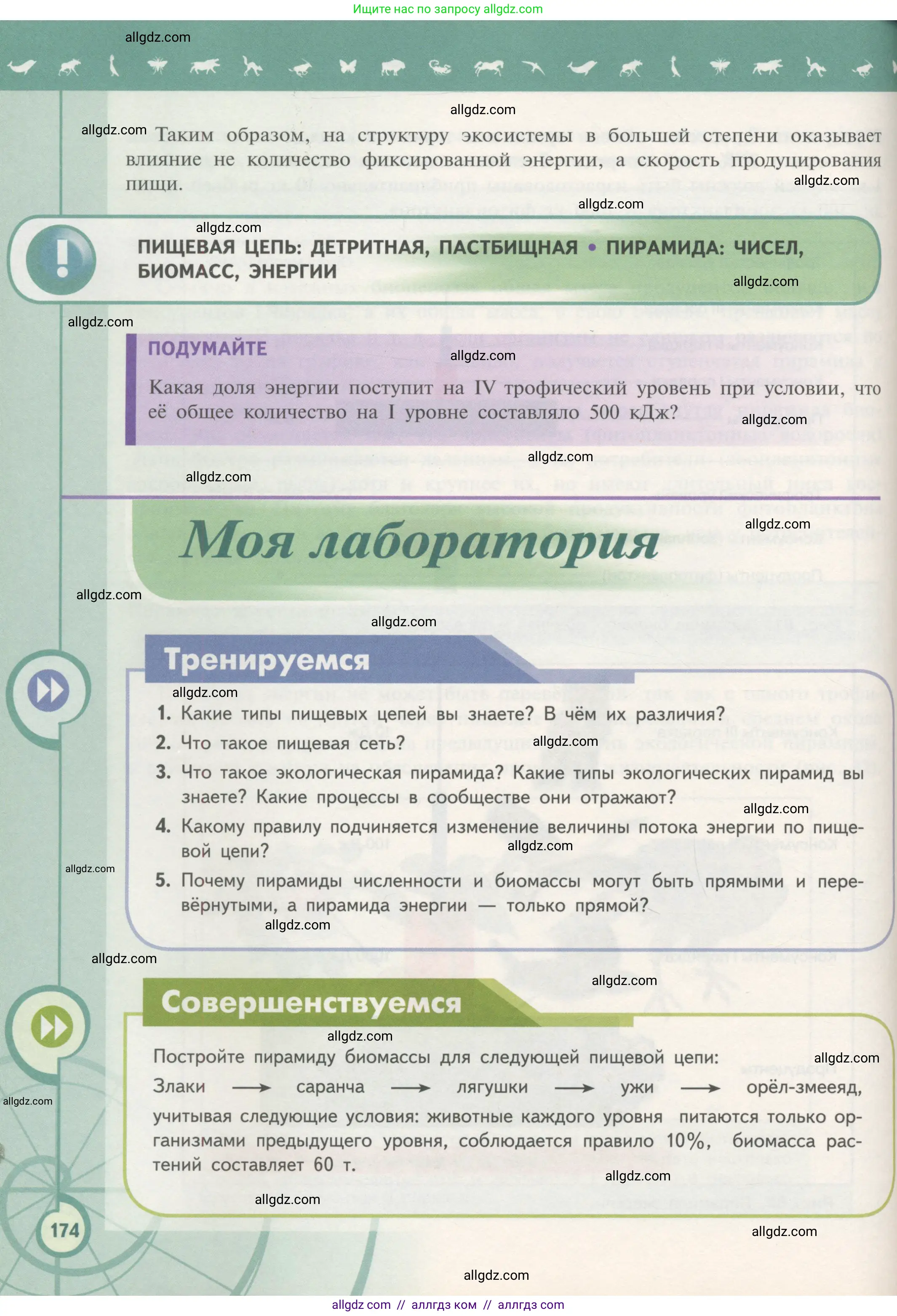 Биология, 11 класс Учебник, авторы: Пасечник Владимир Васильевич, Каменский Андрей Александрович, Рубцов Александр Михайлович, Швецов Глеб Геннадьевич, Гапонюк Зоя Георгиевна, издательство Просвещение, Москва, 2018, страница 174