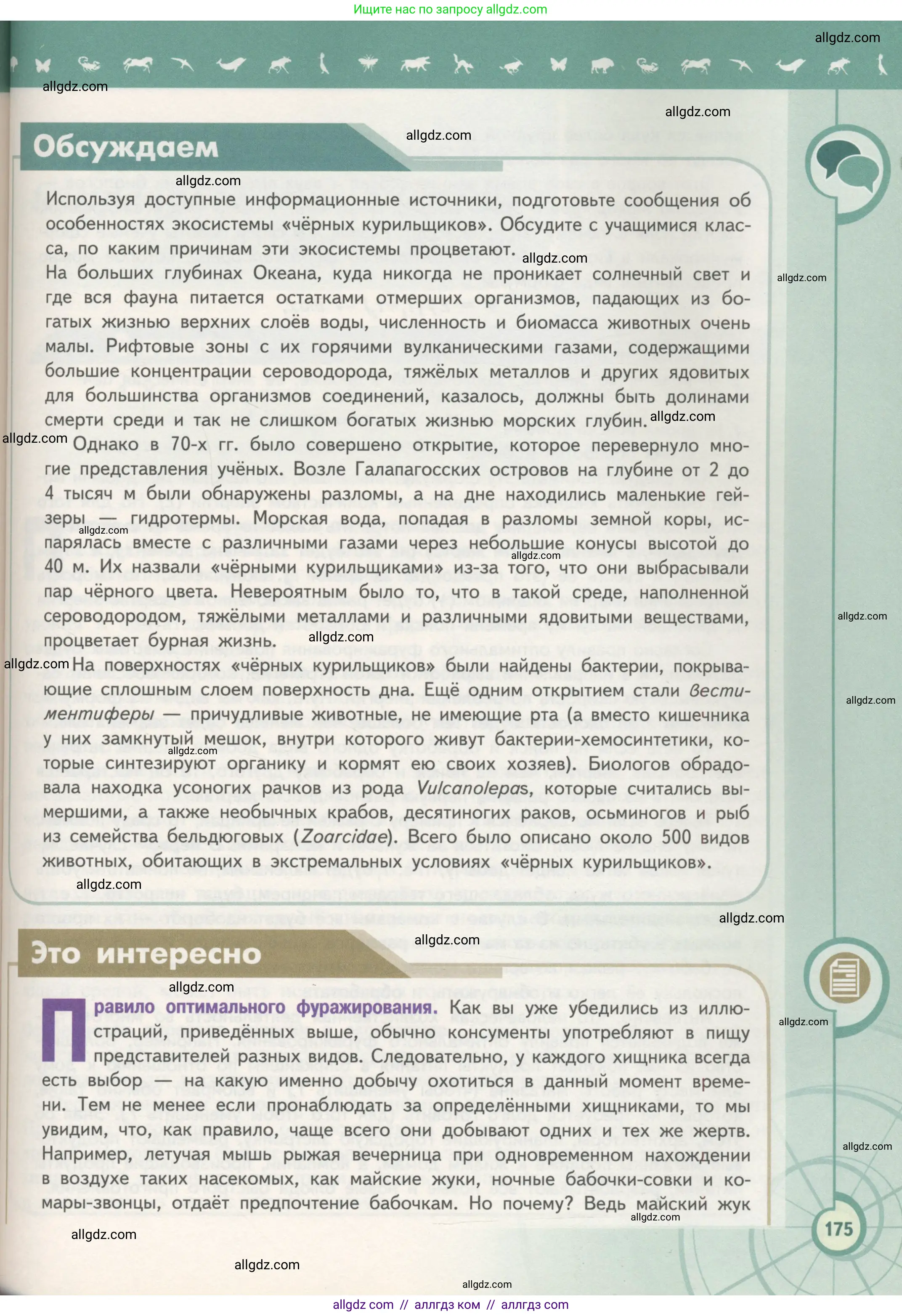 Биология, 11 класс Учебник, авторы: Пасечник Владимир Васильевич, Каменский Андрей Александрович, Рубцов Александр Михайлович, Швецов Глеб Геннадьевич, Гапонюк Зоя Георгиевна, издательство Просвещение, Москва, 2018, страница 175