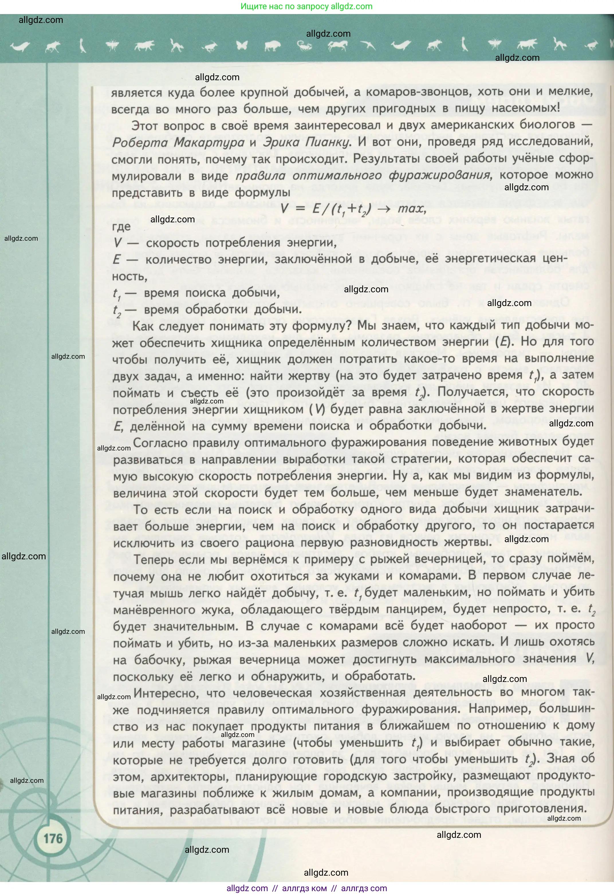 Биология, 11 класс Учебник, авторы: Пасечник Владимир Васильевич, Каменский Андрей Александрович, Рубцов Александр Михайлович, Швецов Глеб Геннадьевич, Гапонюк Зоя Георгиевна, издательство Просвещение, Москва, 2018, страница 176