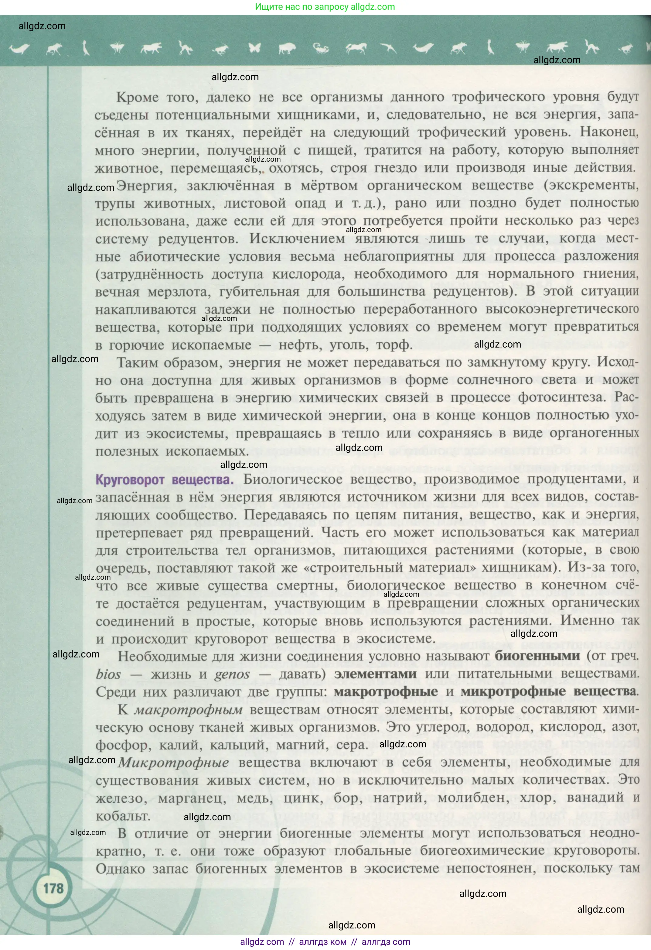 Биология, 11 класс Учебник, авторы: Пасечник Владимир Васильевич, Каменский Андрей Александрович, Рубцов Александр Михайлович, Швецов Глеб Геннадьевич, Гапонюк Зоя Георгиевна, издательство Просвещение, Москва, 2018, страница 178