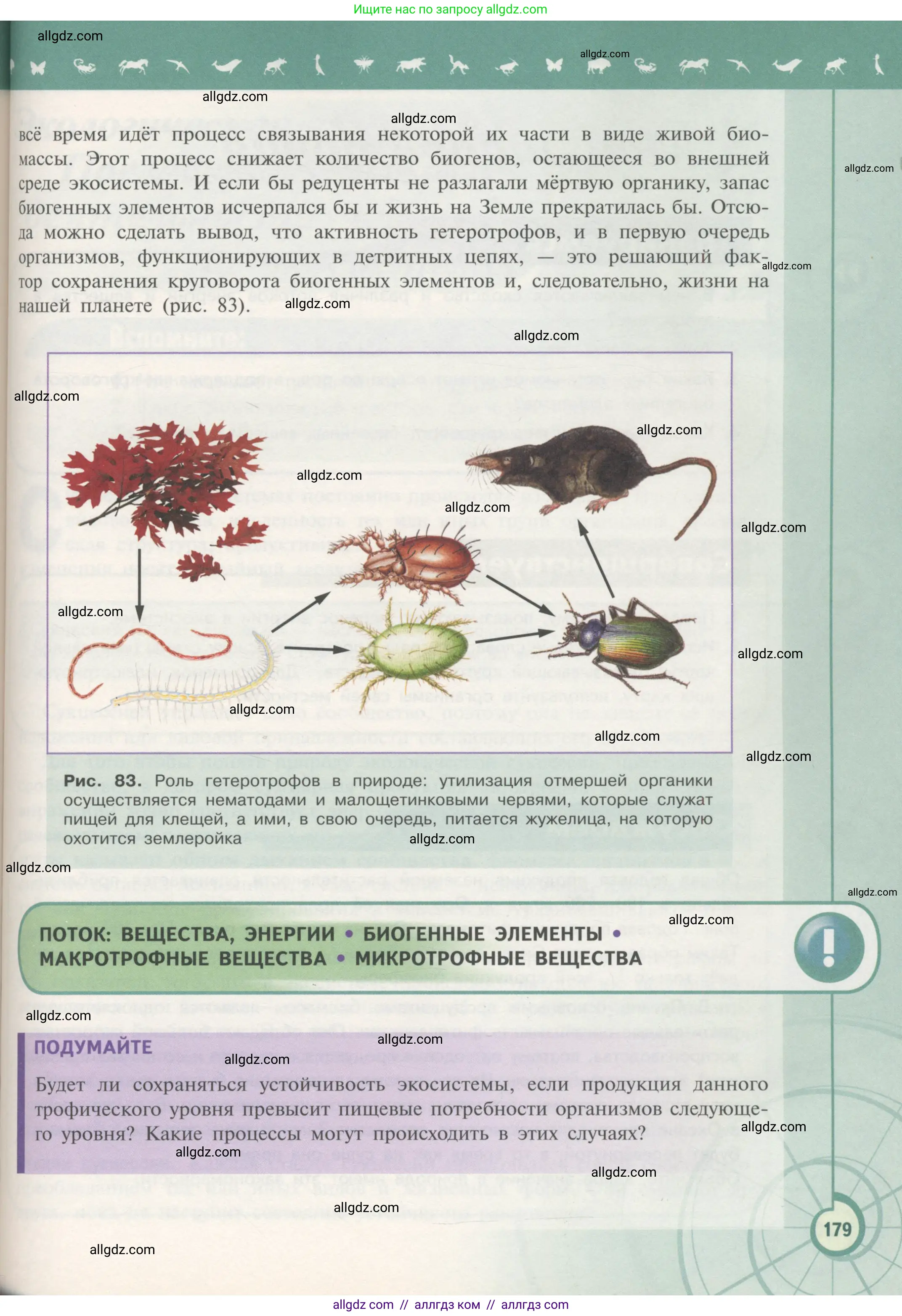 Биология, 11 класс Учебник, авторы: Пасечник Владимир Васильевич, Каменский Андрей Александрович, Рубцов Александр Михайлович, Швецов Глеб Геннадьевич, Гапонюк Зоя Георгиевна, издательство Просвещение, Москва, 2018, страница 179