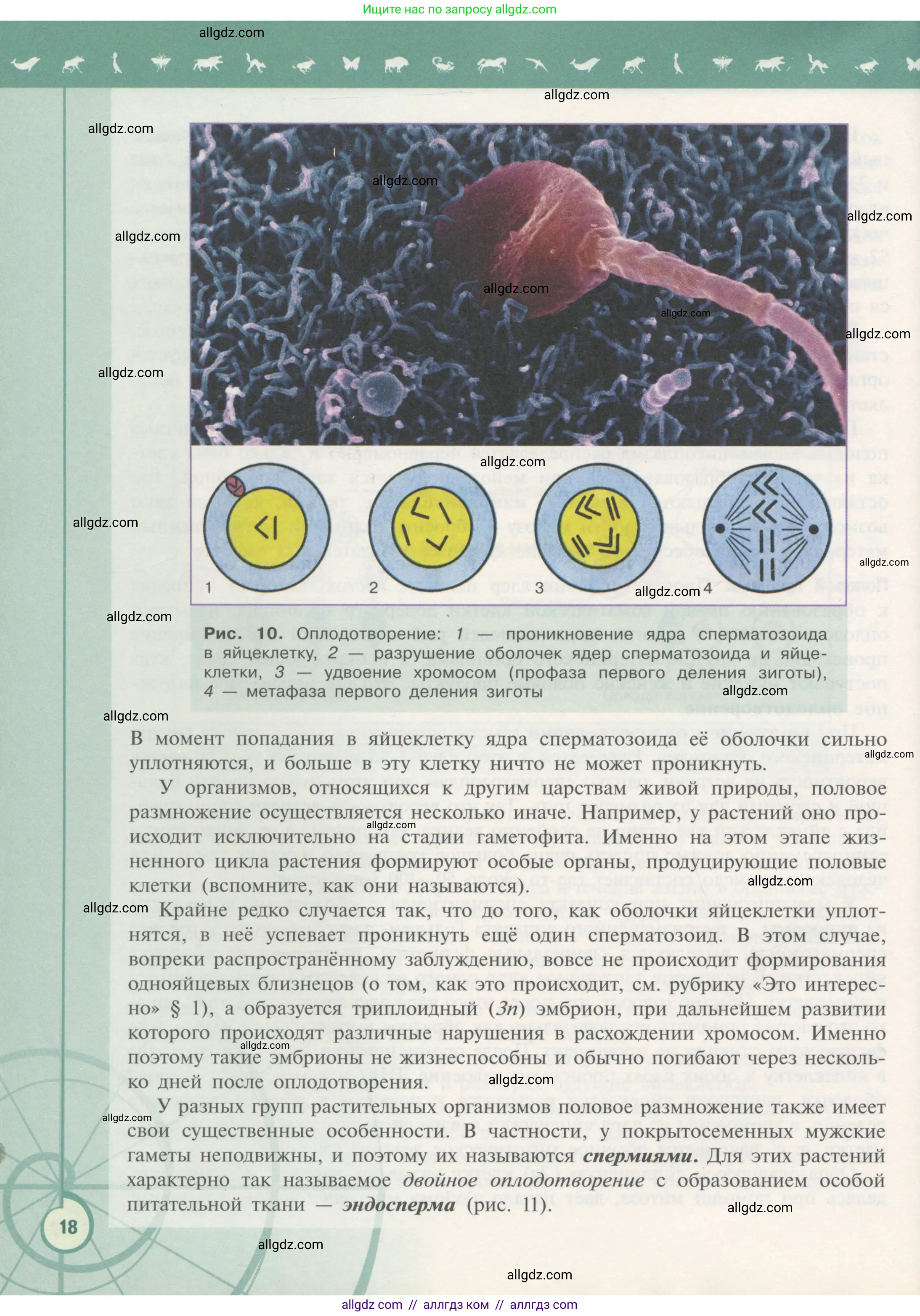 Биология, 11 класс Учебник, авторы: Пасечник Владимир Васильевич, Каменский Андрей Александрович, Рубцов Александр Михайлович, Швецов Глеб Геннадьевич, Гапонюк Зоя Георгиевна, издательство Просвещение, Москва, 2018, страница 18