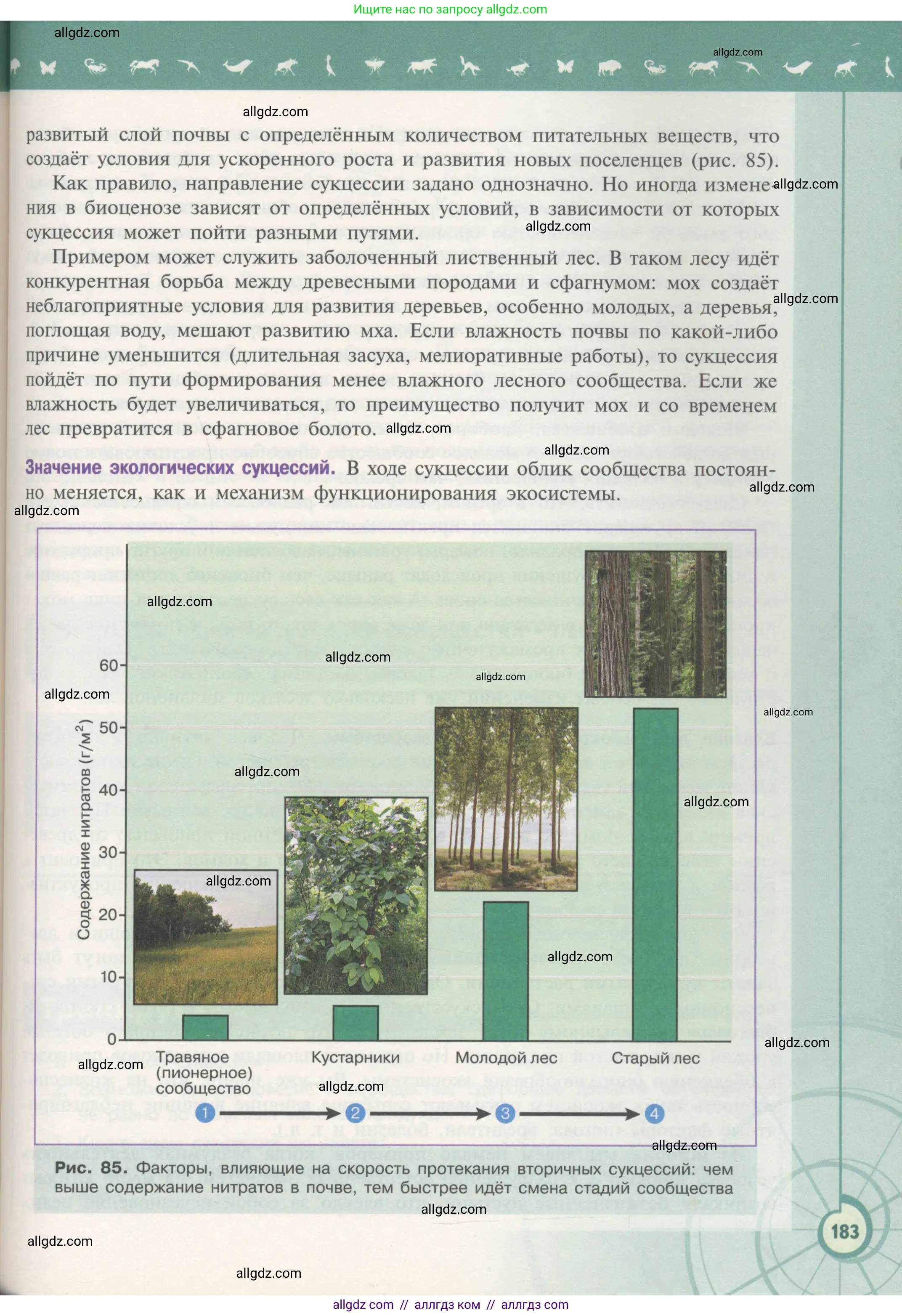 Биология, 11 класс Учебник, авторы: Пасечник Владимир Васильевич, Каменский Андрей Александрович, Рубцов Александр Михайлович, Швецов Глеб Геннадьевич, Гапонюк Зоя Георгиевна, издательство Просвещение, Москва, 2018, страница 183