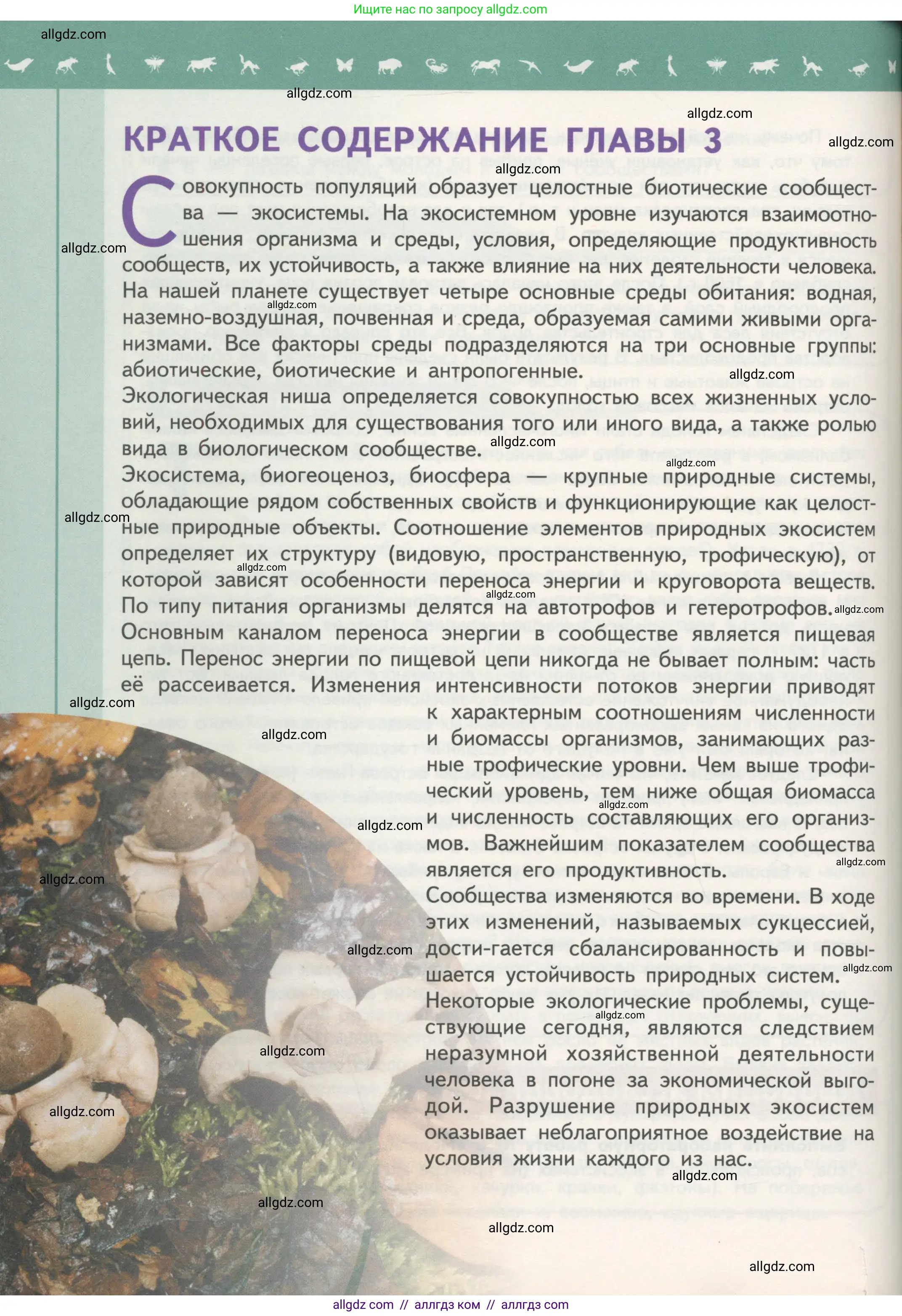 Биология, 11 класс Учебник, авторы: Пасечник Владимир Васильевич, Каменский Андрей Александрович, Рубцов Александр Михайлович, Швецов Глеб Геннадьевич, Гапонюк Зоя Георгиевна, издательство Просвещение, Москва, 2018, страница 188