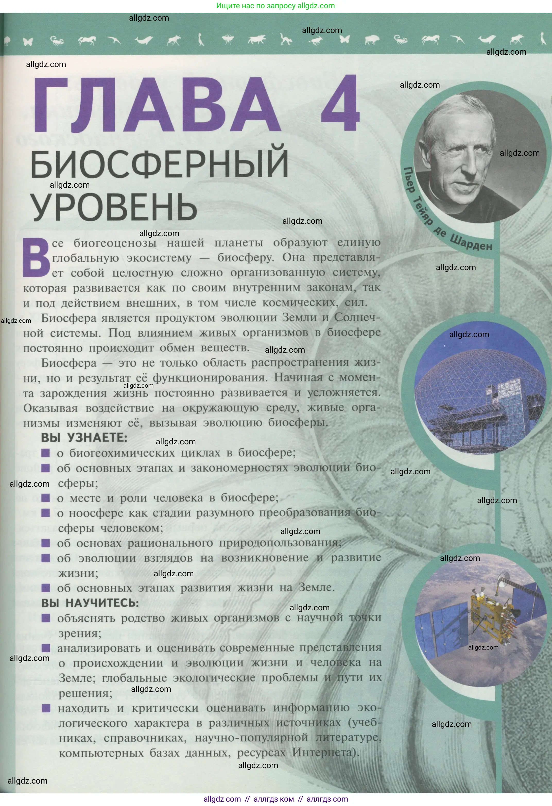 Биология, 11 класс Учебник, авторы: Пасечник Владимир Васильевич, Каменский Андрей Александрович, Рубцов Александр Михайлович, Швецов Глеб Геннадьевич, Гапонюк Зоя Георгиевна, издательство Просвещение, Москва, 2018, страница 189