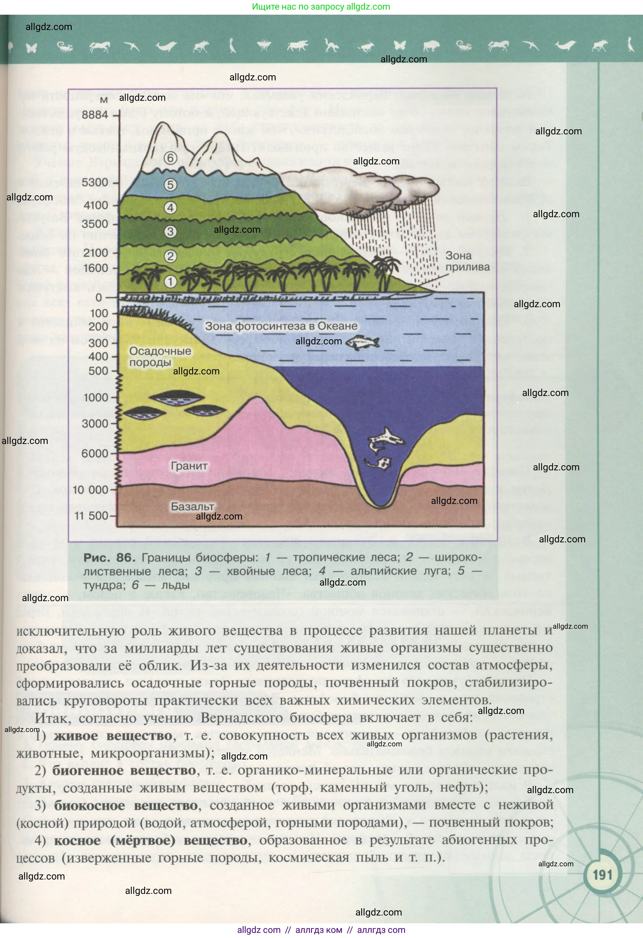 Биология, 11 класс Учебник, авторы: Пасечник Владимир Васильевич, Каменский Андрей Александрович, Рубцов Александр Михайлович, Швецов Глеб Геннадьевич, Гапонюк Зоя Георгиевна, издательство Просвещение, Москва, 2018, страница 191