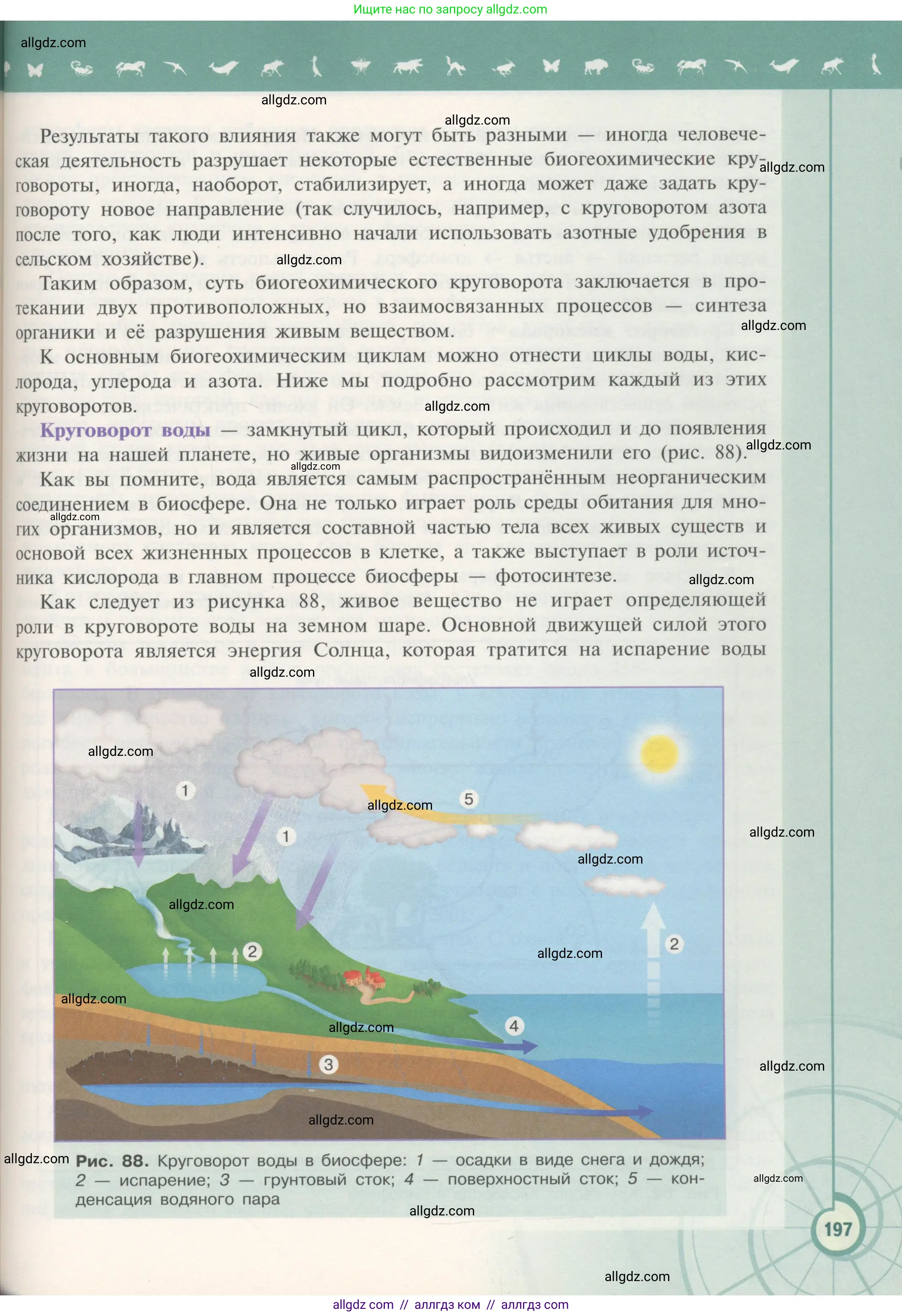 Биология, 11 класс Учебник, авторы: Пасечник Владимир Васильевич, Каменский Андрей Александрович, Рубцов Александр Михайлович, Швецов Глеб Геннадьевич, Гапонюк Зоя Георгиевна, издательство Просвещение, Москва, 2018, страница 197