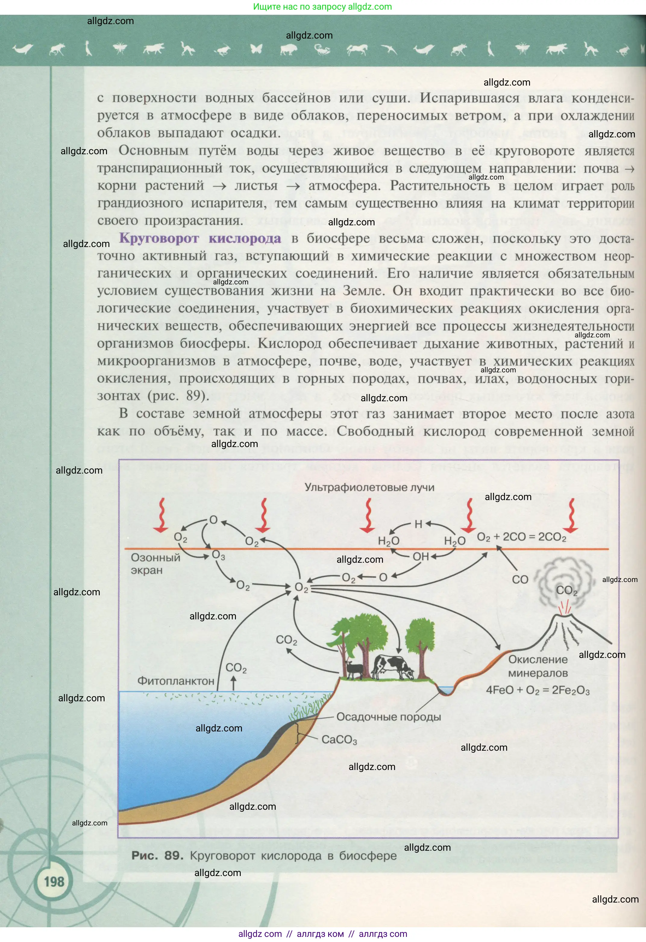 Биология, 11 класс Учебник, авторы: Пасечник Владимир Васильевич, Каменский Андрей Александрович, Рубцов Александр Михайлович, Швецов Глеб Геннадьевич, Гапонюк Зоя Георгиевна, издательство Просвещение, Москва, 2018, страница 198