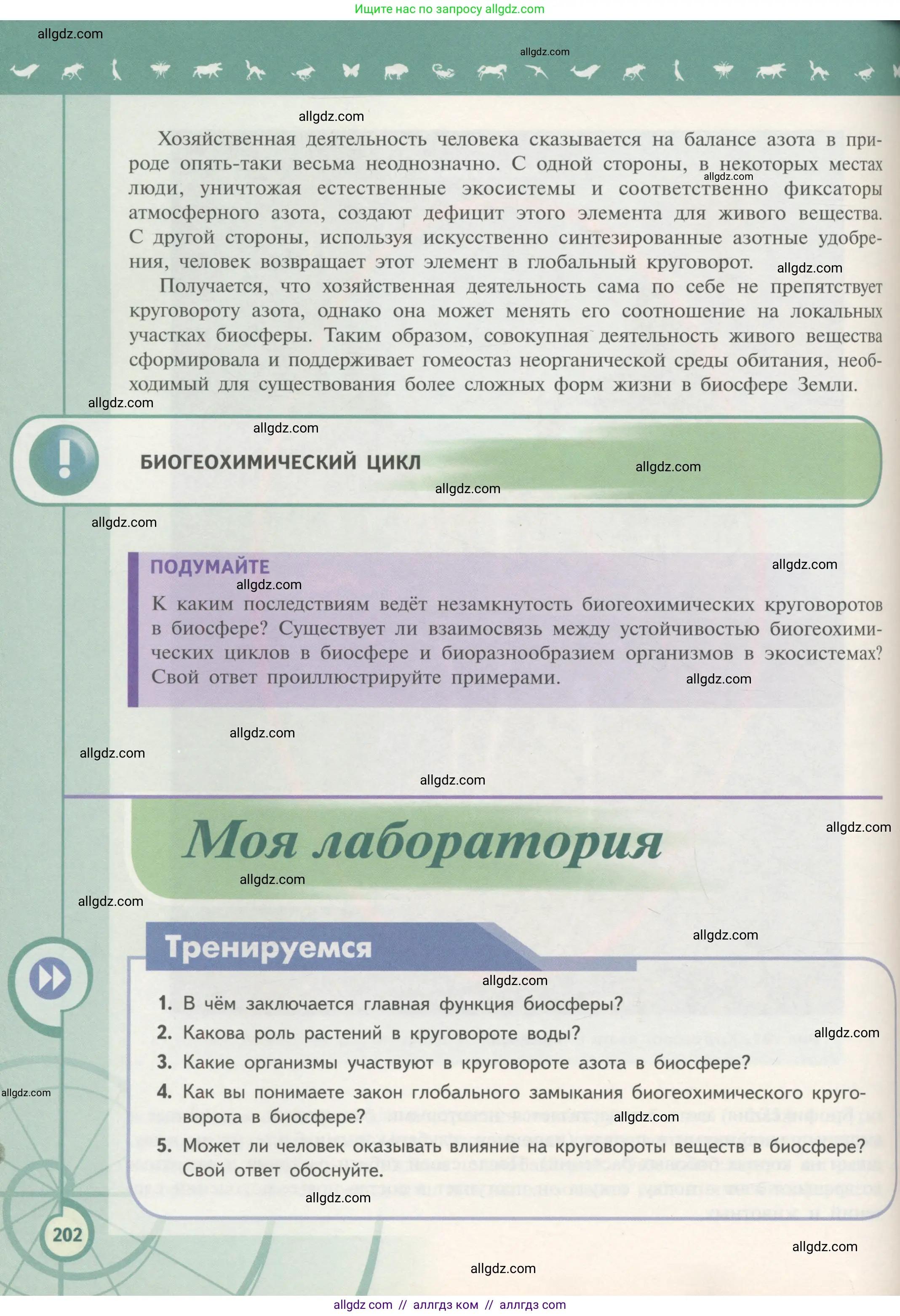 Биология, 11 класс Учебник, авторы: Пасечник Владимир Васильевич, Каменский Андрей Александрович, Рубцов Александр Михайлович, Швецов Глеб Геннадьевич, Гапонюк Зоя Георгиевна, издательство Просвещение, Москва, 2018, страница 202