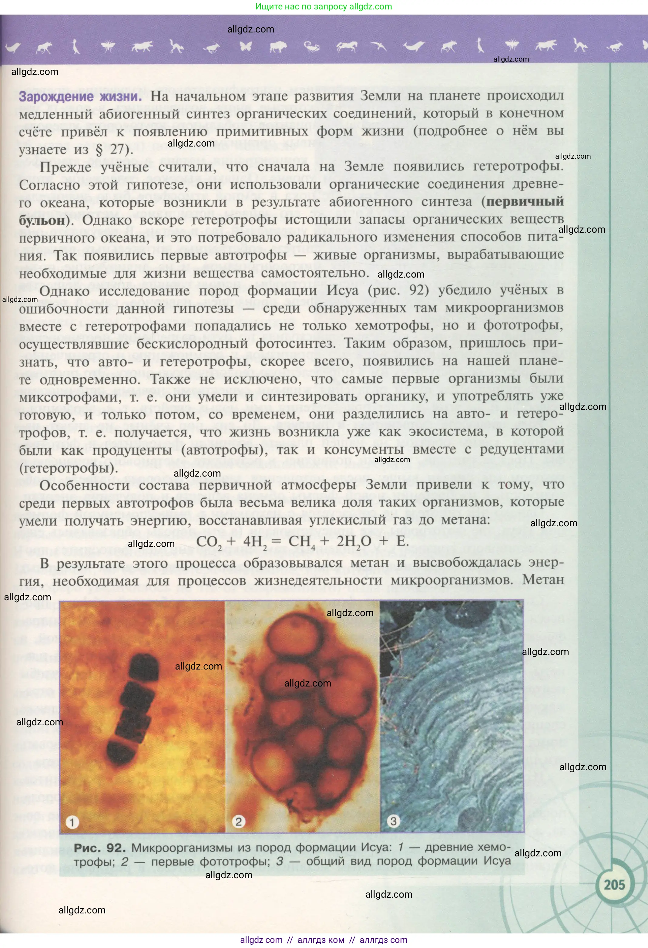Биология, 11 класс Учебник, авторы: Пасечник Владимир Васильевич, Каменский Андрей Александрович, Рубцов Александр Михайлович, Швецов Глеб Геннадьевич, Гапонюк Зоя Георгиевна, издательство Просвещение, Москва, 2018, страница 205