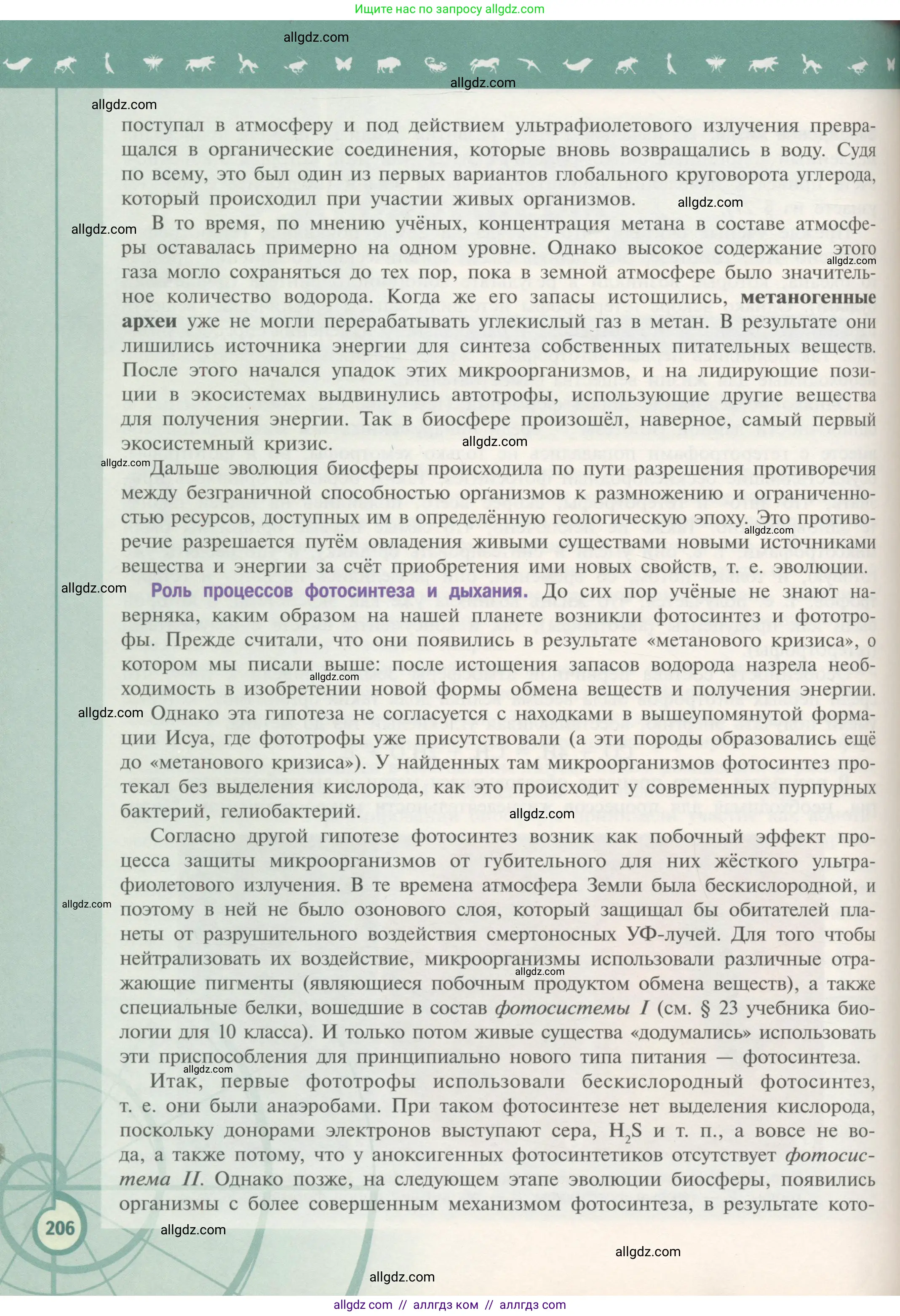 Биология, 11 класс Учебник, авторы: Пасечник Владимир Васильевич, Каменский Андрей Александрович, Рубцов Александр Михайлович, Швецов Глеб Геннадьевич, Гапонюк Зоя Георгиевна, издательство Просвещение, Москва, 2018, страница 206