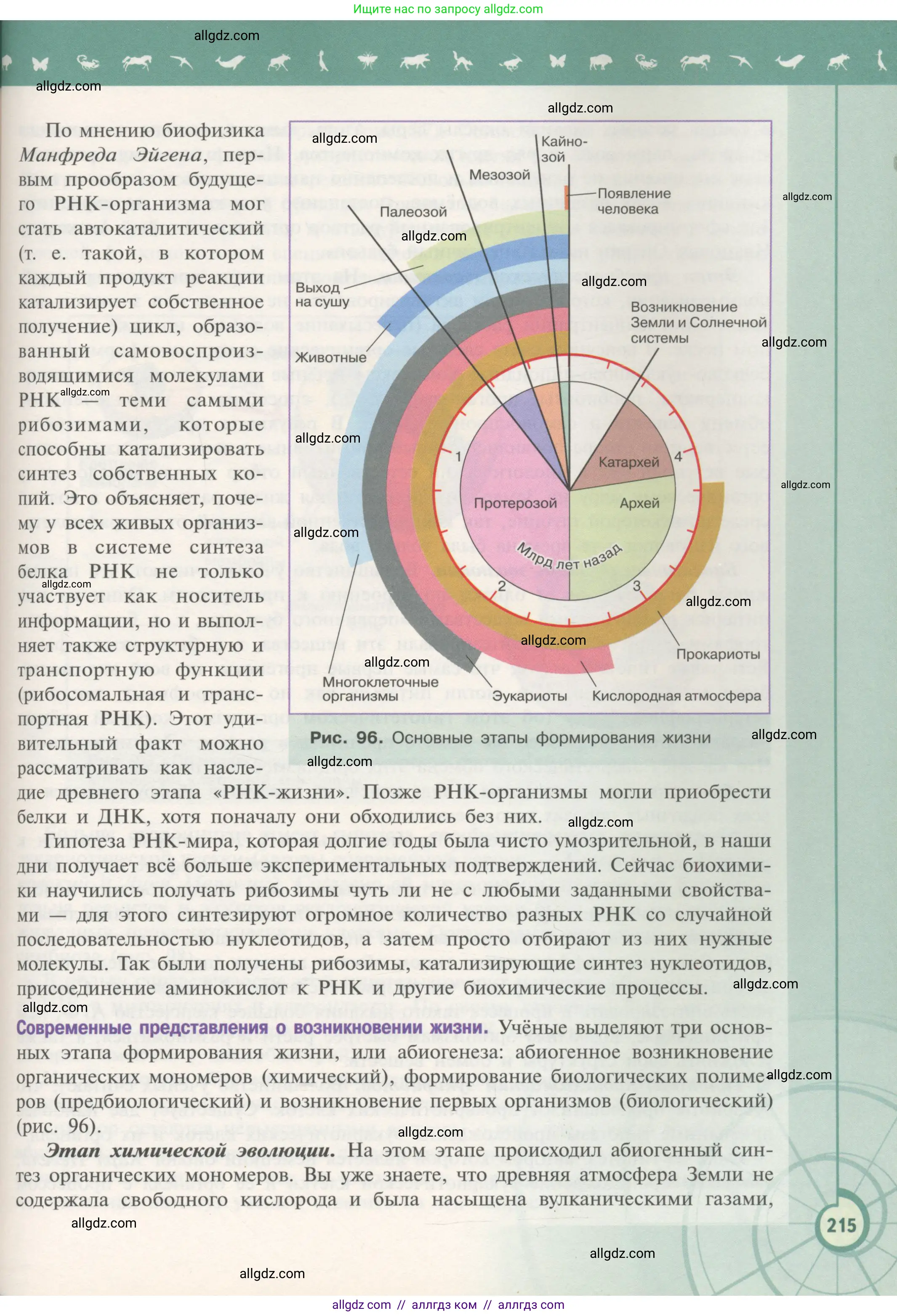 Биология, 11 класс Учебник, авторы: Пасечник Владимир Васильевич, Каменский Андрей Александрович, Рубцов Александр Михайлович, Швецов Глеб Геннадьевич, Гапонюк Зоя Георгиевна, издательство Просвещение, Москва, 2018, страница 215