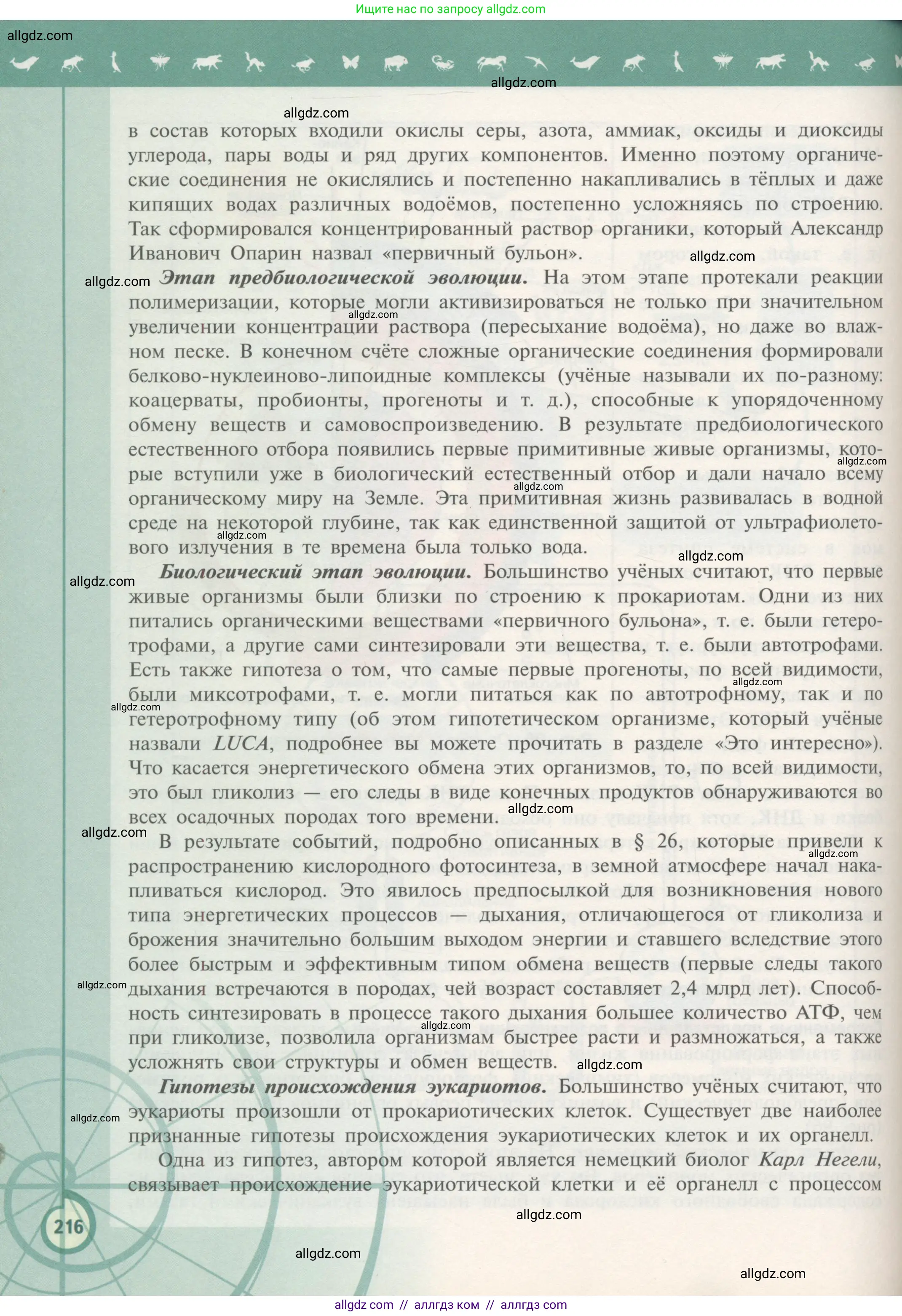 Биология, 11 класс Учебник, авторы: Пасечник Владимир Васильевич, Каменский Андрей Александрович, Рубцов Александр Михайлович, Швецов Глеб Геннадьевич, Гапонюк Зоя Георгиевна, издательство Просвещение, Москва, 2018, страница 216