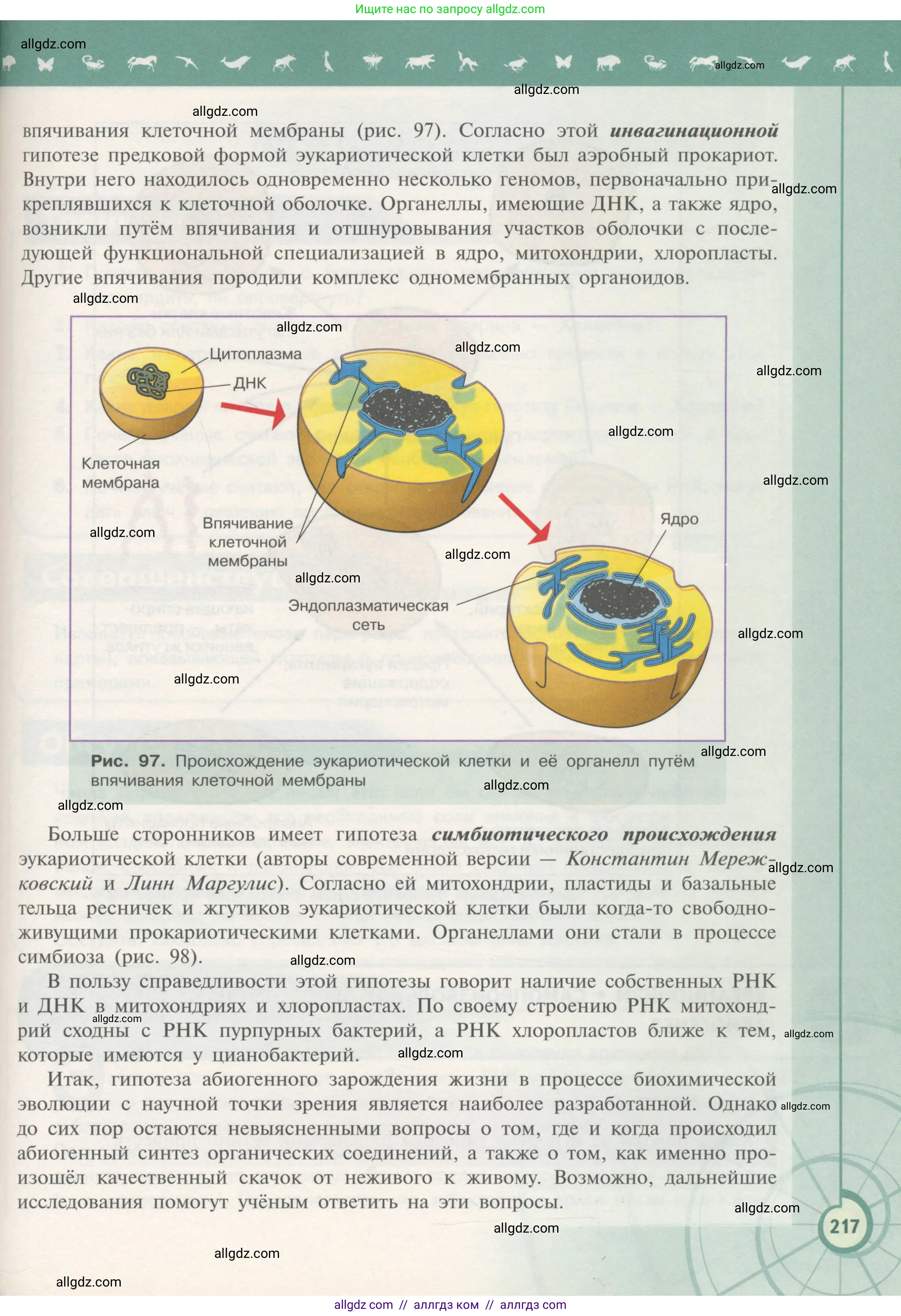 Биология, 11 класс Учебник, авторы: Пасечник Владимир Васильевич, Каменский Андрей Александрович, Рубцов Александр Михайлович, Швецов Глеб Геннадьевич, Гапонюк Зоя Георгиевна, издательство Просвещение, Москва, 2018, страница 217