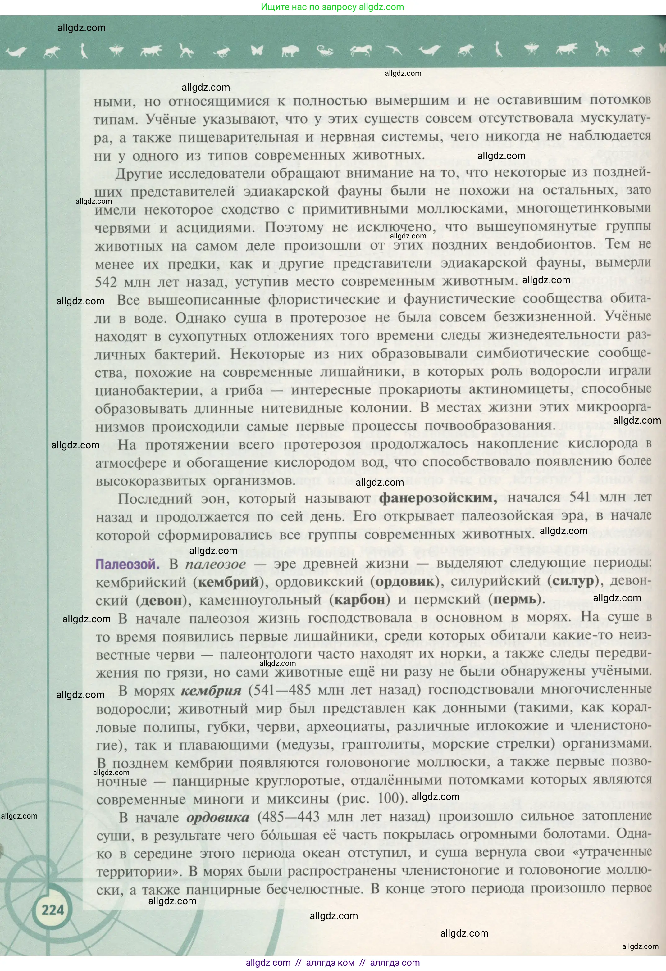 Биология, 11 класс Учебник, авторы: Пасечник Владимир Васильевич, Каменский Андрей Александрович, Рубцов Александр Михайлович, Швецов Глеб Геннадьевич, Гапонюк Зоя Георгиевна, издательство Просвещение, Москва, 2018, страница 224