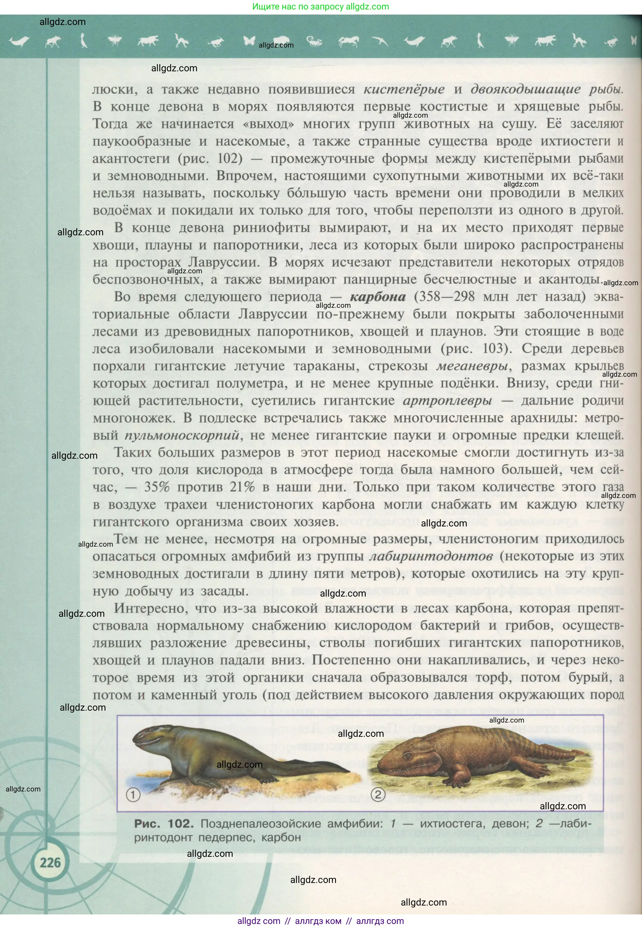 Биология, 11 класс Учебник, авторы: Пасечник Владимир Васильевич, Каменский Андрей Александрович, Рубцов Александр Михайлович, Швецов Глеб Геннадьевич, Гапонюк Зоя Георгиевна, издательство Просвещение, Москва, 2018, страница 226