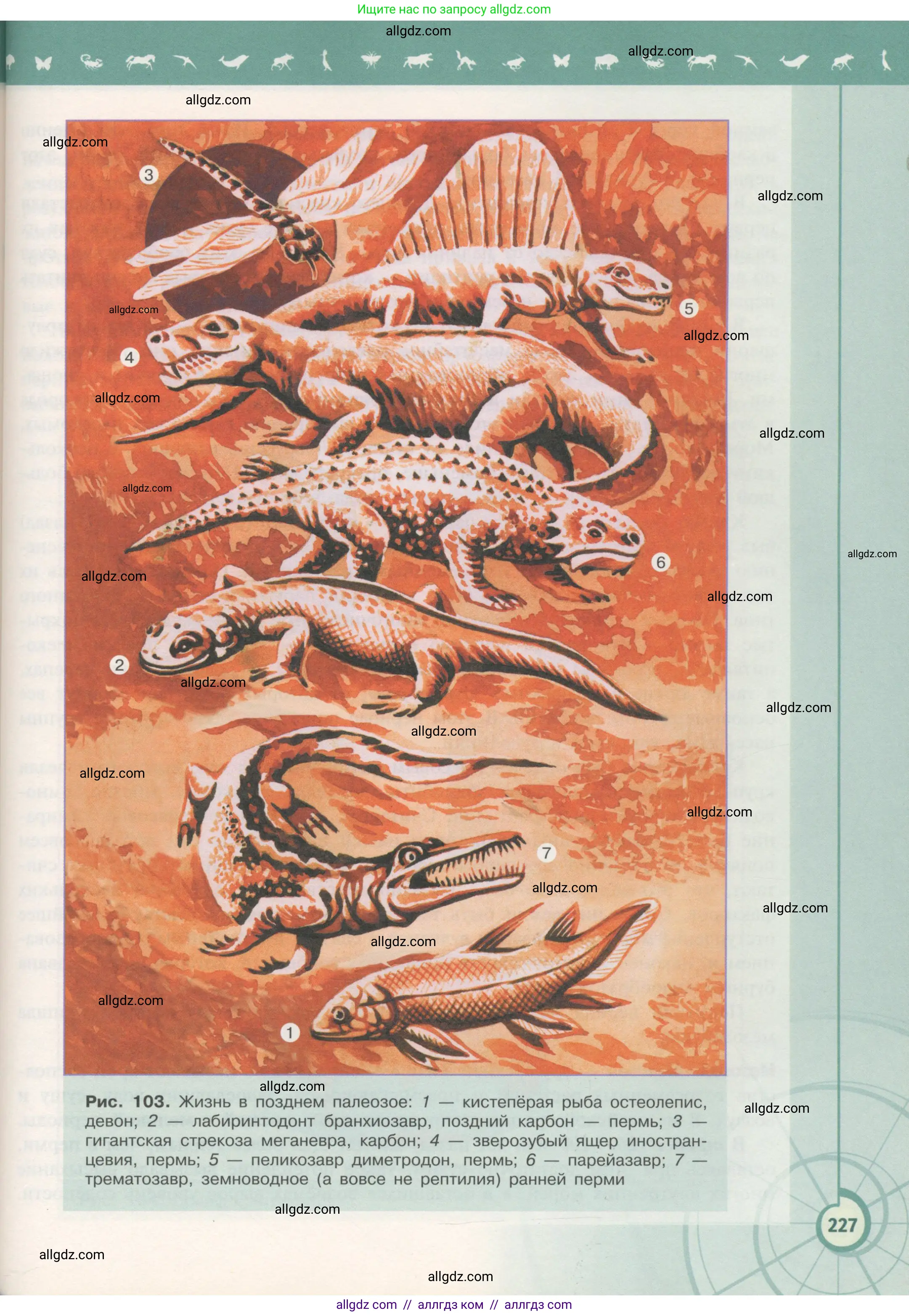 Биология, 11 класс Учебник, авторы: Пасечник Владимир Васильевич, Каменский Андрей Александрович, Рубцов Александр Михайлович, Швецов Глеб Геннадьевич, Гапонюк Зоя Георгиевна, издательство Просвещение, Москва, 2018, страница 227