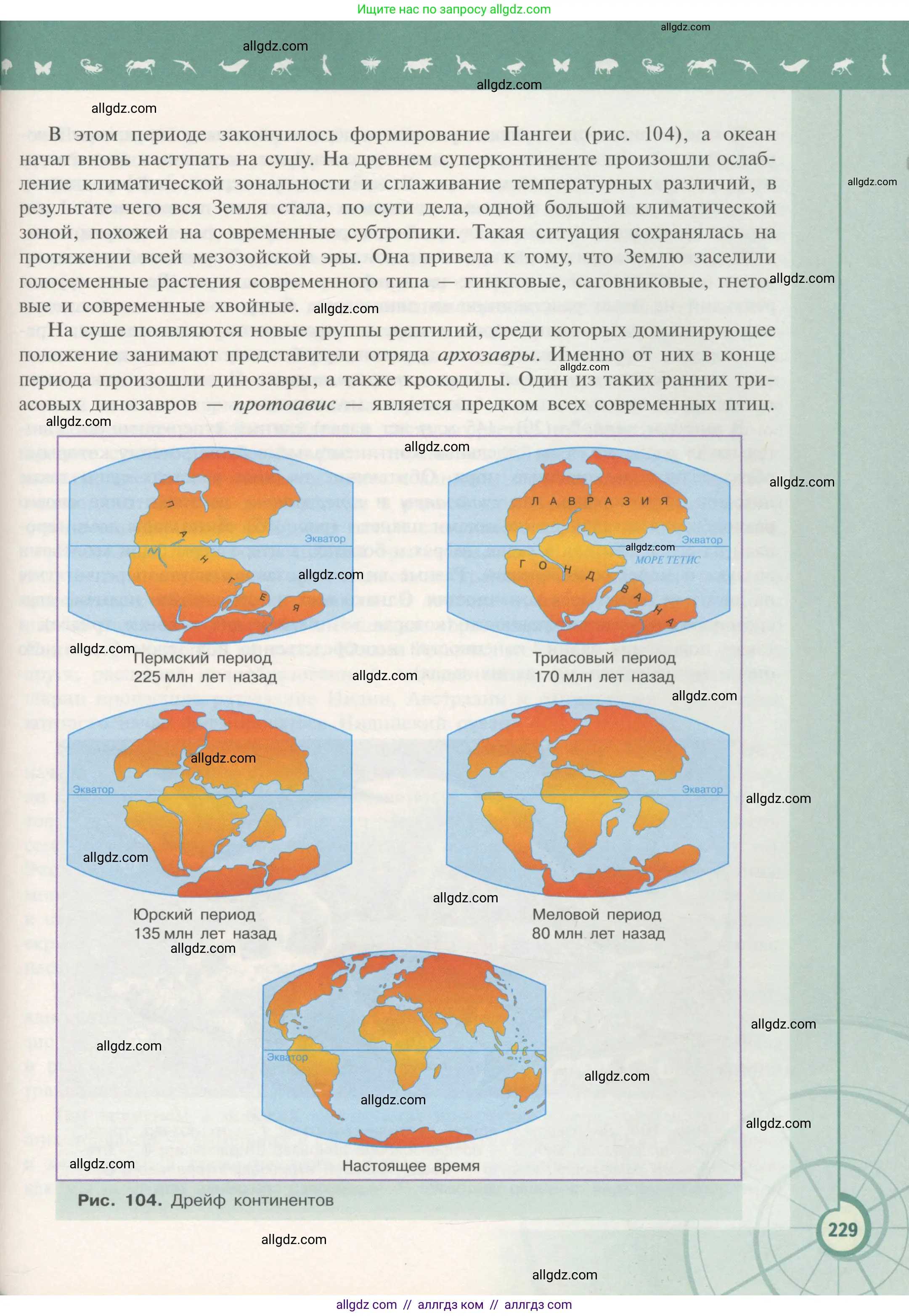 Биология, 11 класс Учебник, авторы: Пасечник Владимир Васильевич, Каменский Андрей Александрович, Рубцов Александр Михайлович, Швецов Глеб Геннадьевич, Гапонюк Зоя Георгиевна, издательство Просвещение, Москва, 2018, страница 229