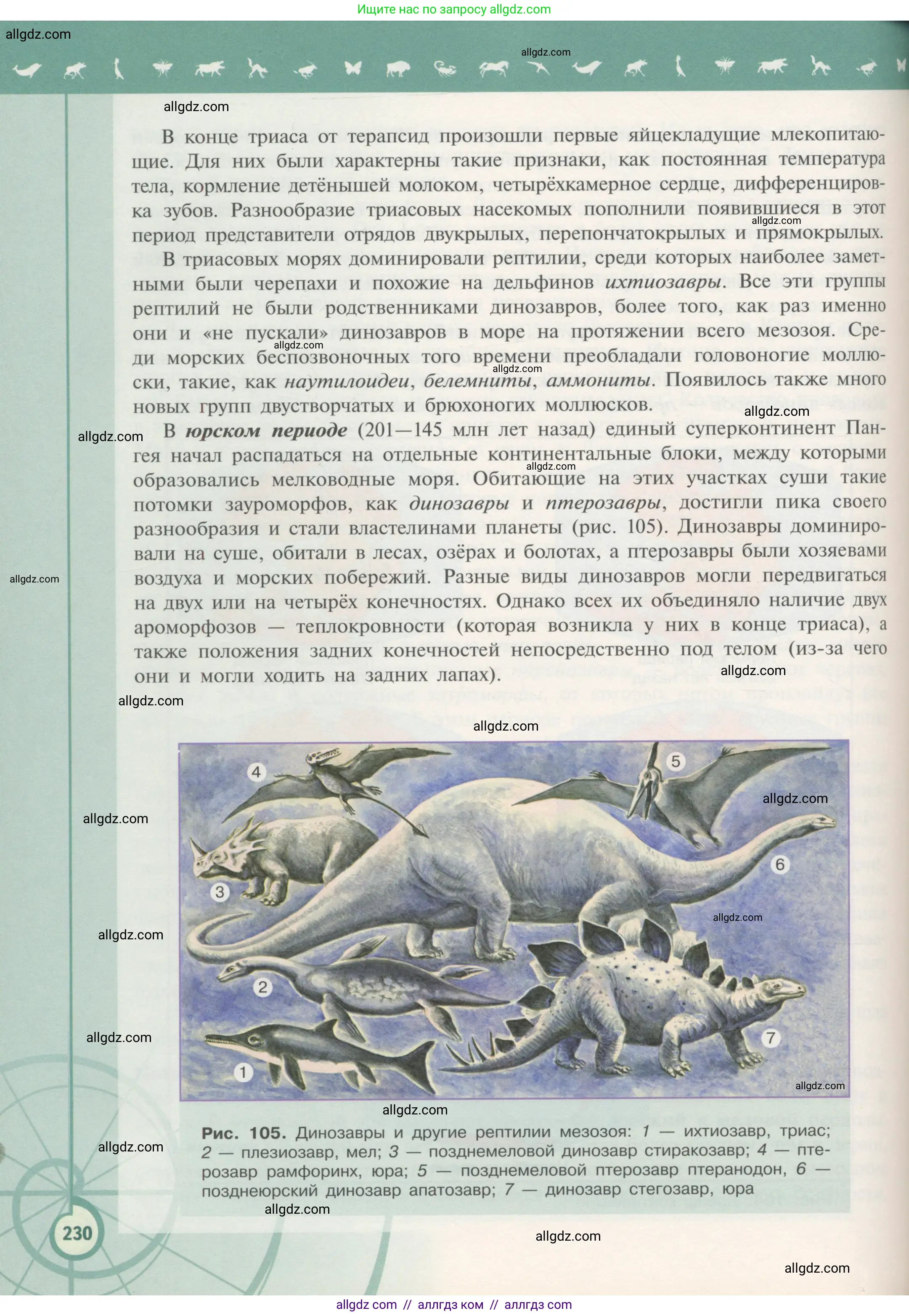 Биология, 11 класс Учебник, авторы: Пасечник Владимир Васильевич, Каменский Андрей Александрович, Рубцов Александр Михайлович, Швецов Глеб Геннадьевич, Гапонюк Зоя Георгиевна, издательство Просвещение, Москва, 2018, страница 230