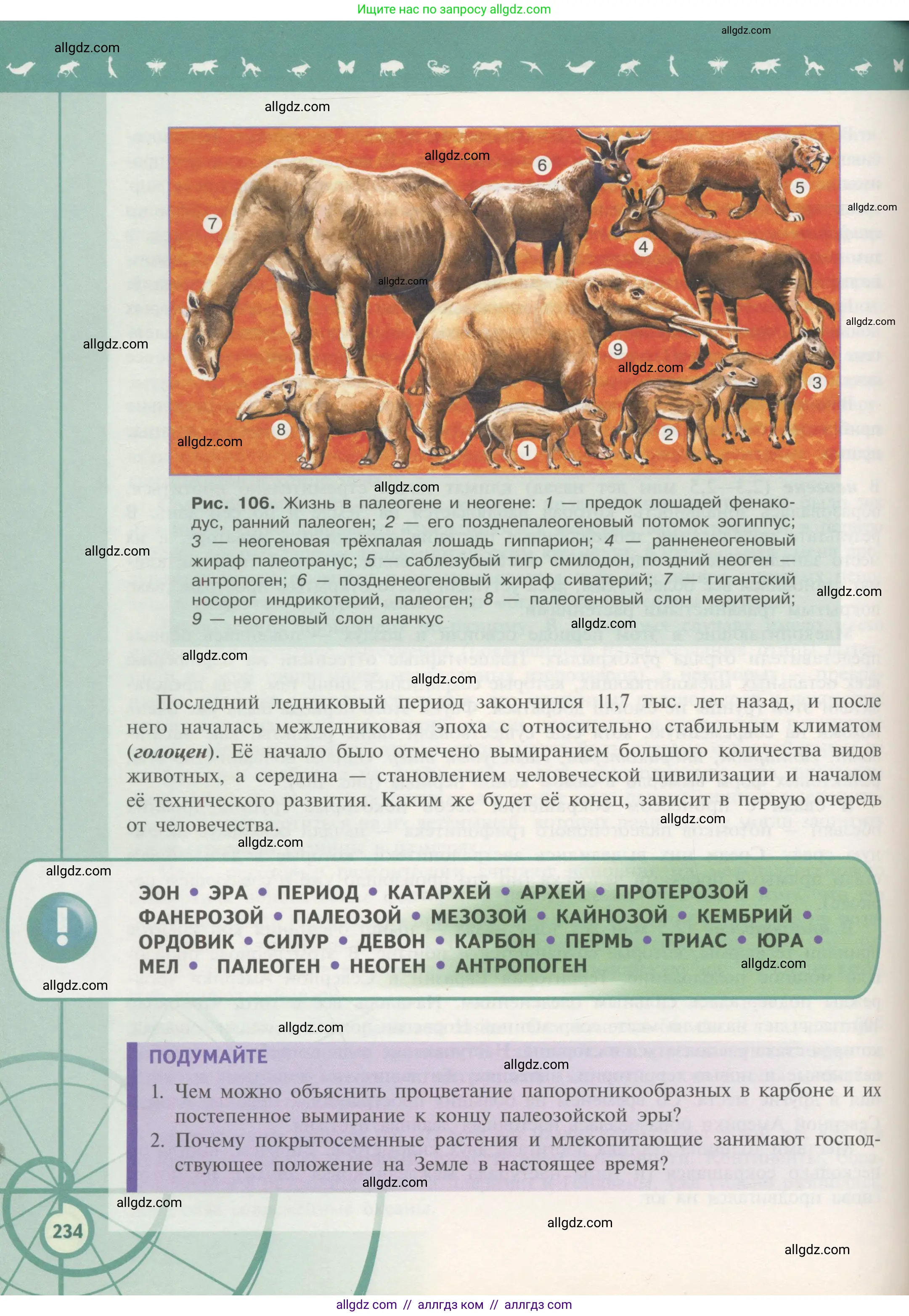 Биология, 11 класс Учебник, авторы: Пасечник Владимир Васильевич, Каменский Андрей Александрович, Рубцов Александр Михайлович, Швецов Глеб Геннадьевич, Гапонюк Зоя Георгиевна, издательство Просвещение, Москва, 2018, страница 234