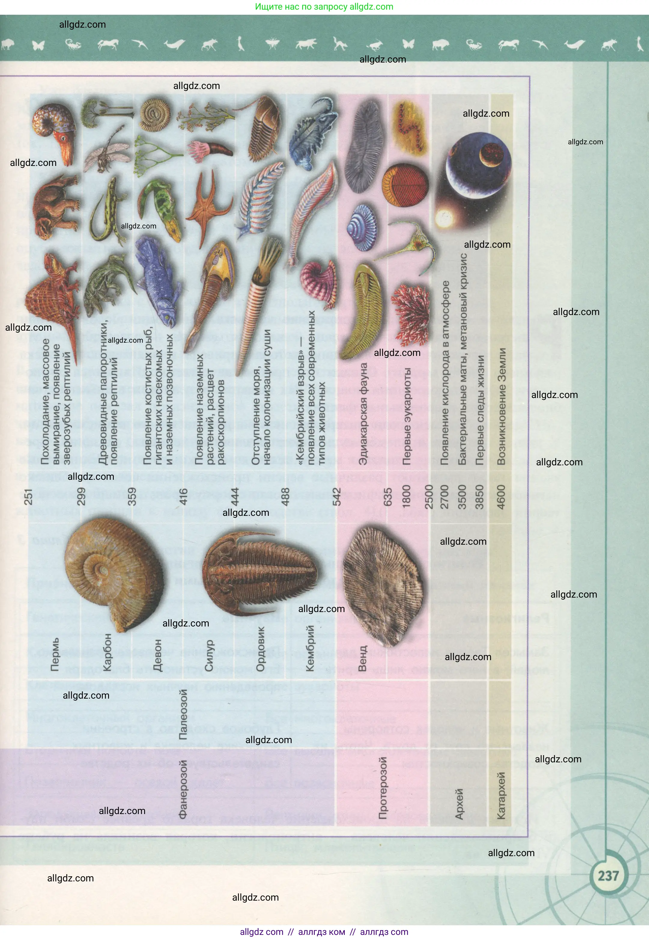 Биология, 11 класс Учебник, авторы: Пасечник Владимир Васильевич, Каменский Андрей Александрович, Рубцов Александр Михайлович, Швецов Глеб Геннадьевич, Гапонюк Зоя Георгиевна, издательство Просвещение, Москва, 2018, страница 237