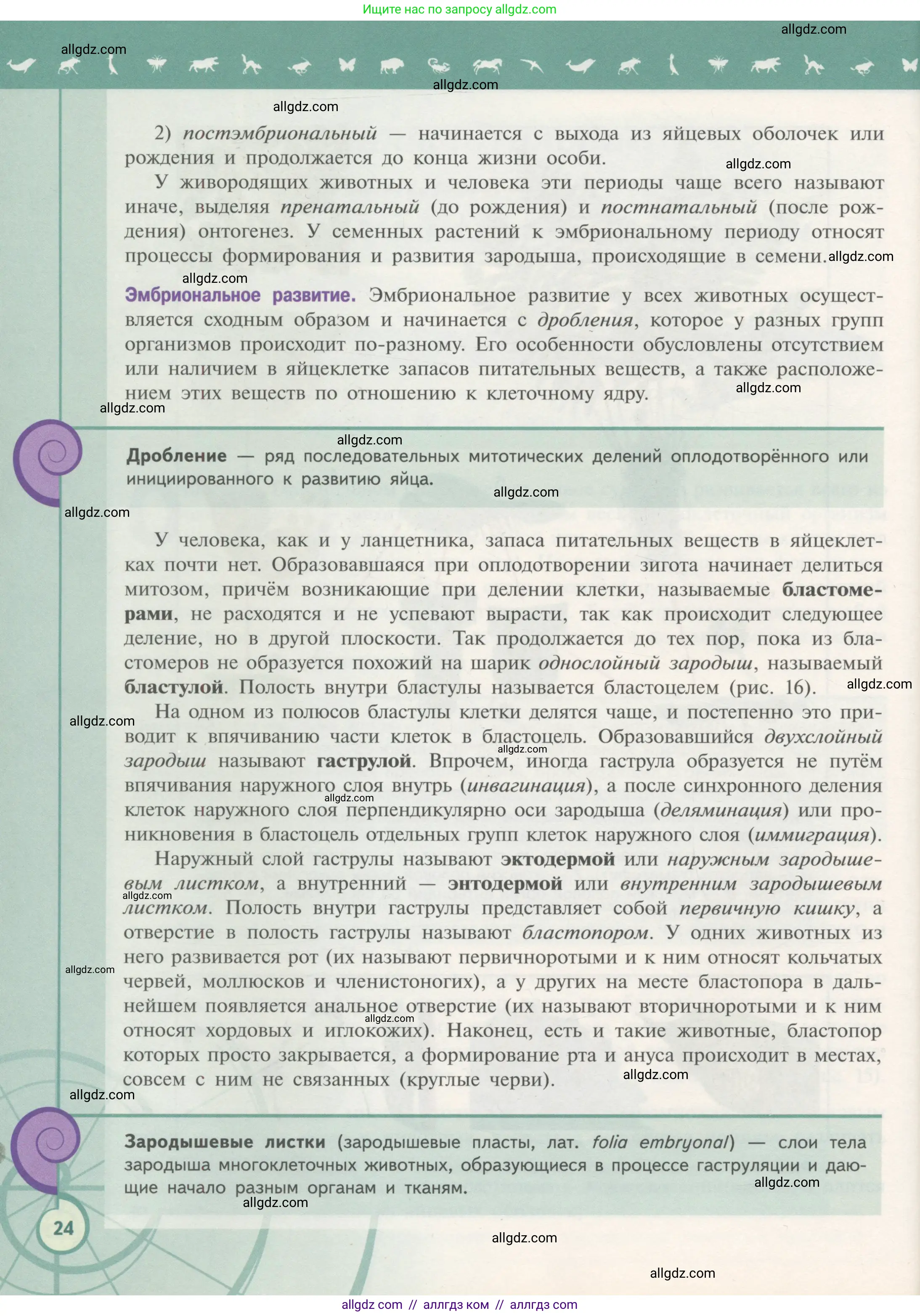 Биология, 11 класс Учебник, авторы: Пасечник Владимир Васильевич, Каменский Андрей Александрович, Рубцов Александр Михайлович, Швецов Глеб Геннадьевич, Гапонюк Зоя Георгиевна, издательство Просвещение, Москва, 2018, страница 24