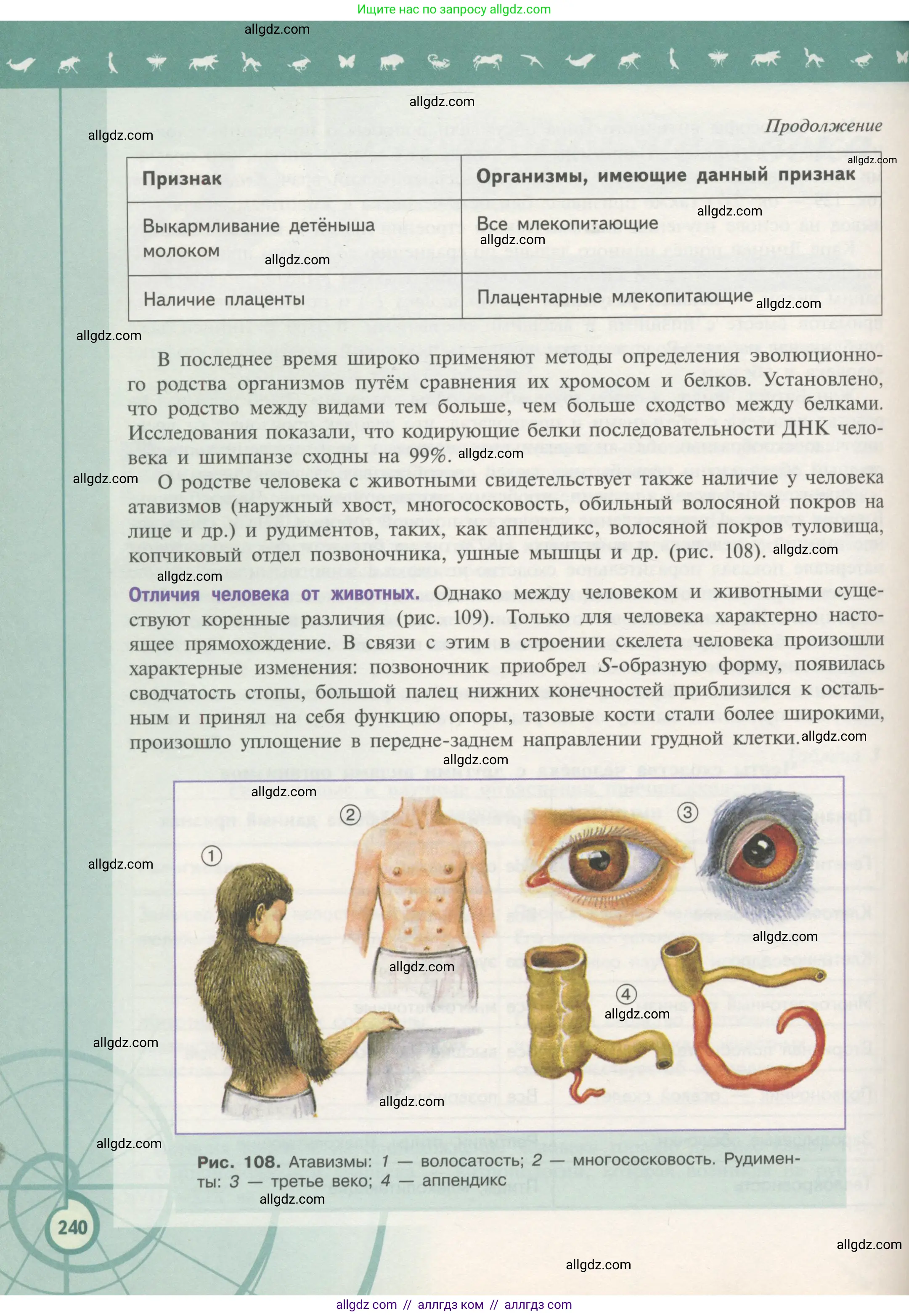 Биология, 11 класс Учебник, авторы: Пасечник Владимир Васильевич, Каменский Андрей Александрович, Рубцов Александр Михайлович, Швецов Глеб Геннадьевич, Гапонюк Зоя Георгиевна, издательство Просвещение, Москва, 2018, страница 240