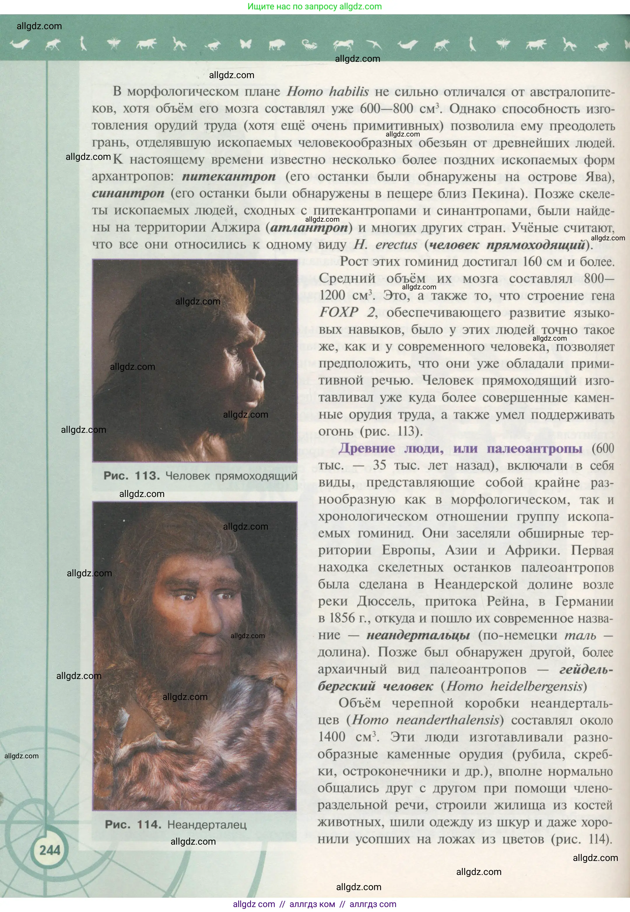 Биология, 11 класс Учебник, авторы: Пасечник Владимир Васильевич, Каменский Андрей Александрович, Рубцов Александр Михайлович, Швецов Глеб Геннадьевич, Гапонюк Зоя Георгиевна, издательство Просвещение, Москва, 2018, страница 244
