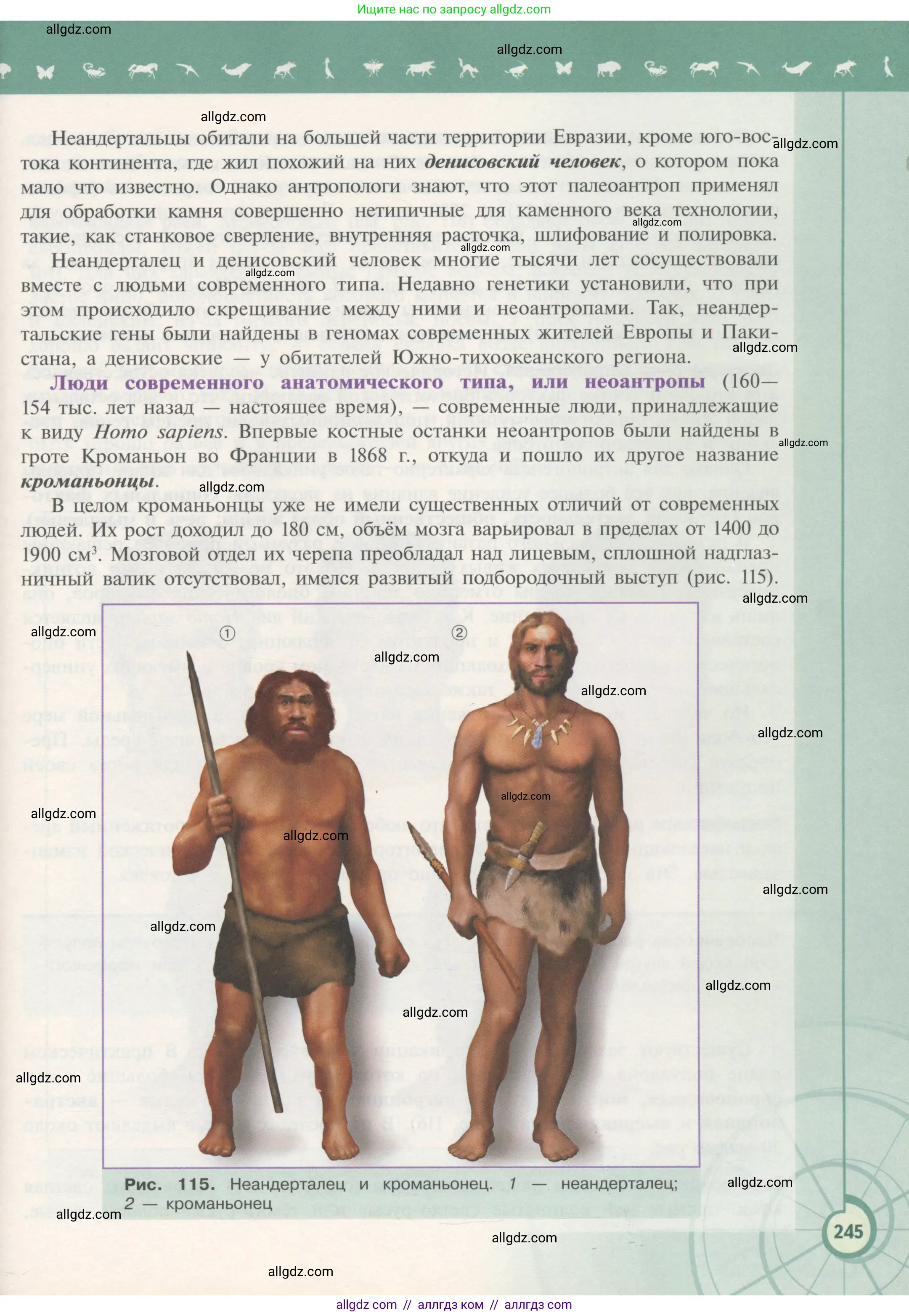 Биология, 11 класс Учебник, авторы: Пасечник Владимир Васильевич, Каменский Андрей Александрович, Рубцов Александр Михайлович, Швецов Глеб Геннадьевич, Гапонюк Зоя Георгиевна, издательство Просвещение, Москва, 2018, страница 245