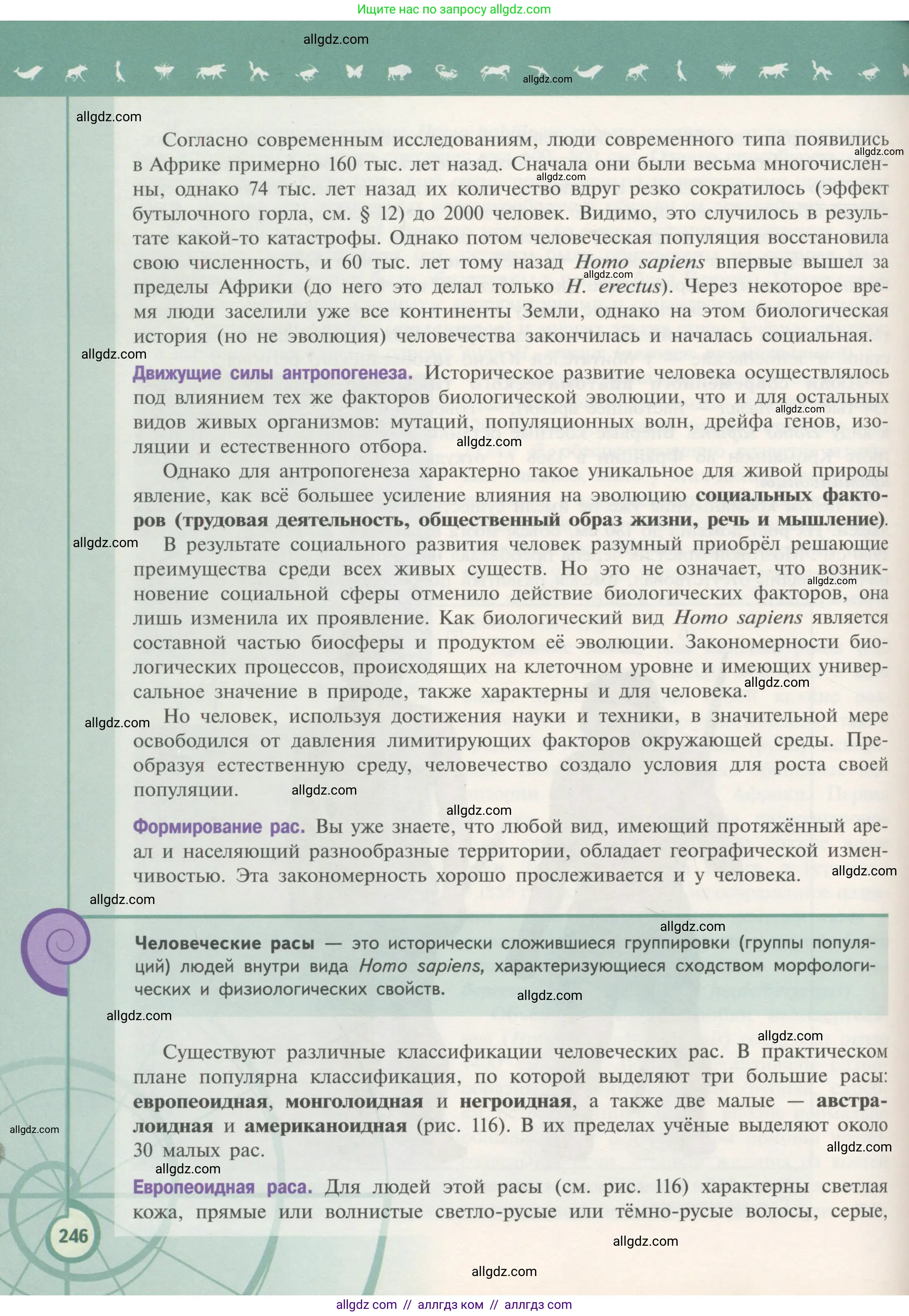 Биология, 11 класс Учебник, авторы: Пасечник Владимир Васильевич, Каменский Андрей Александрович, Рубцов Александр Михайлович, Швецов Глеб Геннадьевич, Гапонюк Зоя Георгиевна, издательство Просвещение, Москва, 2018, страница 246
