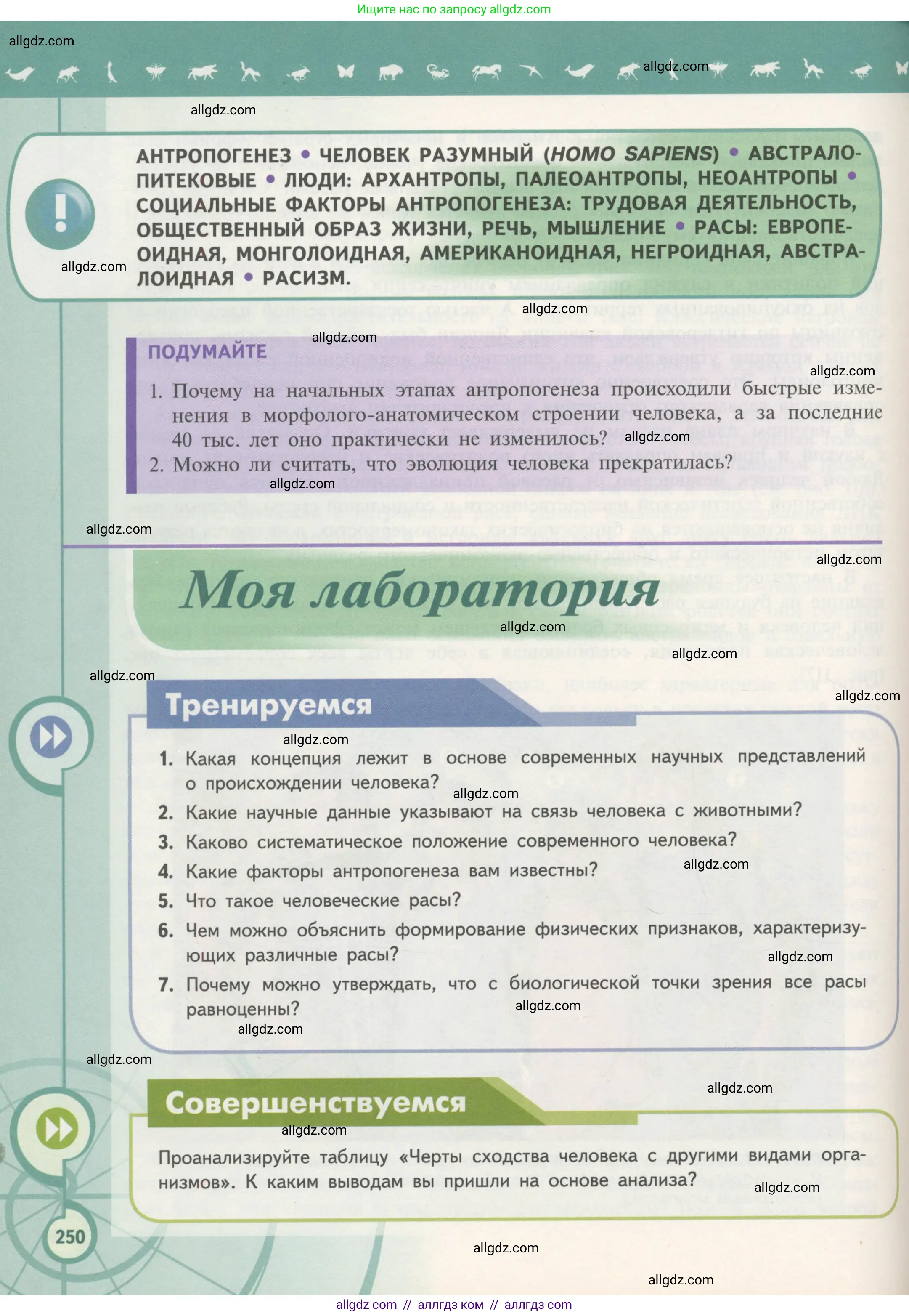 Биология, 11 класс Учебник, авторы: Пасечник Владимир Васильевич, Каменский Андрей Александрович, Рубцов Александр Михайлович, Швецов Глеб Геннадьевич, Гапонюк Зоя Георгиевна, издательство Просвещение, Москва, 2018, страница 250