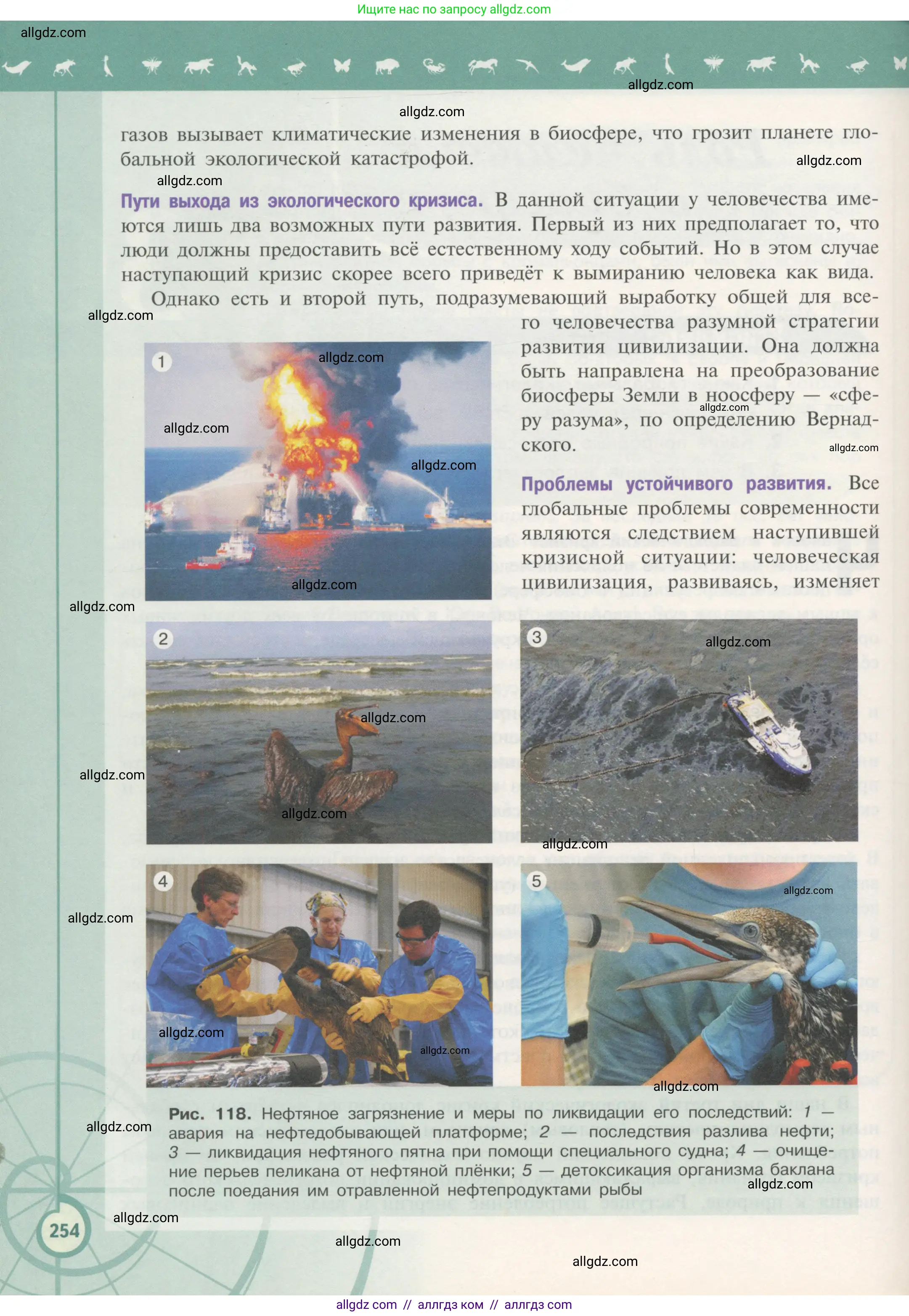 Биология, 11 класс Учебник, авторы: Пасечник Владимир Васильевич, Каменский Андрей Александрович, Рубцов Александр Михайлович, Швецов Глеб Геннадьевич, Гапонюк Зоя Георгиевна, издательство Просвещение, Москва, 2018, страница 254