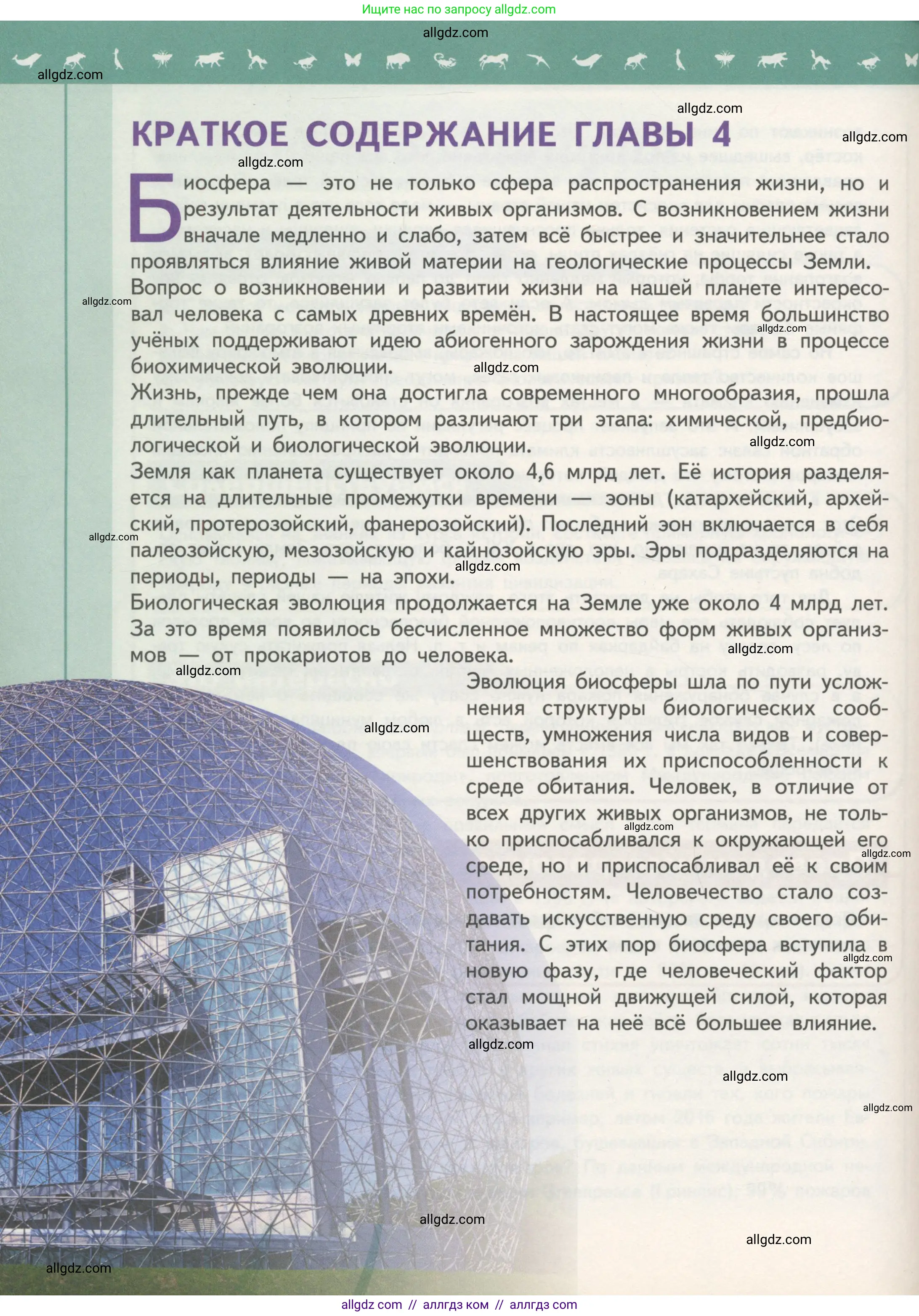 Биология, 11 класс Учебник, авторы: Пасечник Владимир Васильевич, Каменский Андрей Александрович, Рубцов Александр Михайлович, Швецов Глеб Геннадьевич, Гапонюк Зоя Георгиевна, издательство Просвещение, Москва, 2018, страница 258