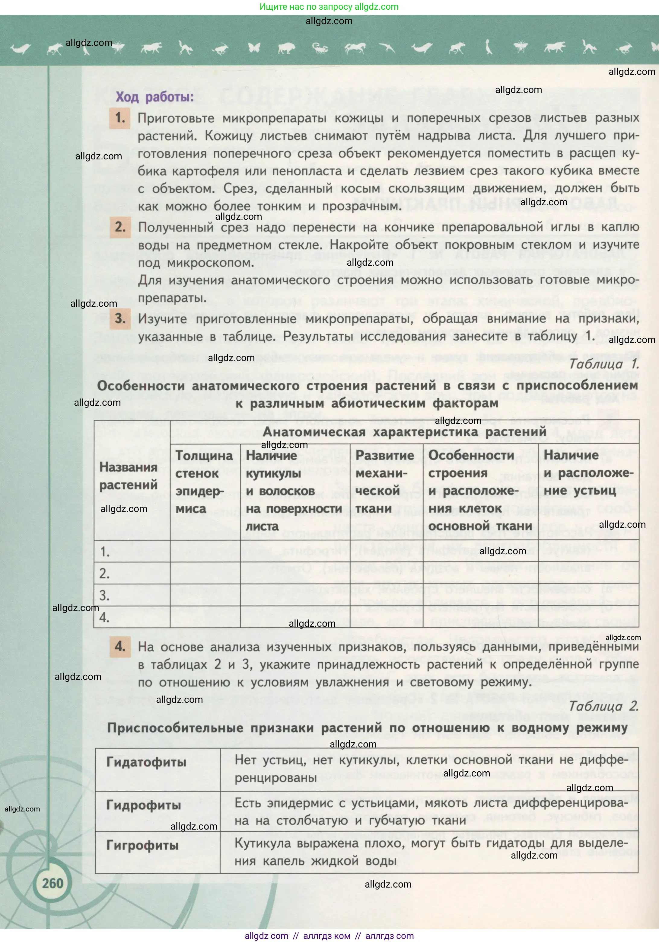 Биология, 11 класс Учебник, авторы: Пасечник Владимир Васильевич, Каменский Андрей Александрович, Рубцов Александр Михайлович, Швецов Глеб Геннадьевич, Гапонюк Зоя Георгиевна, издательство Просвещение, Москва, 2018, страница 260