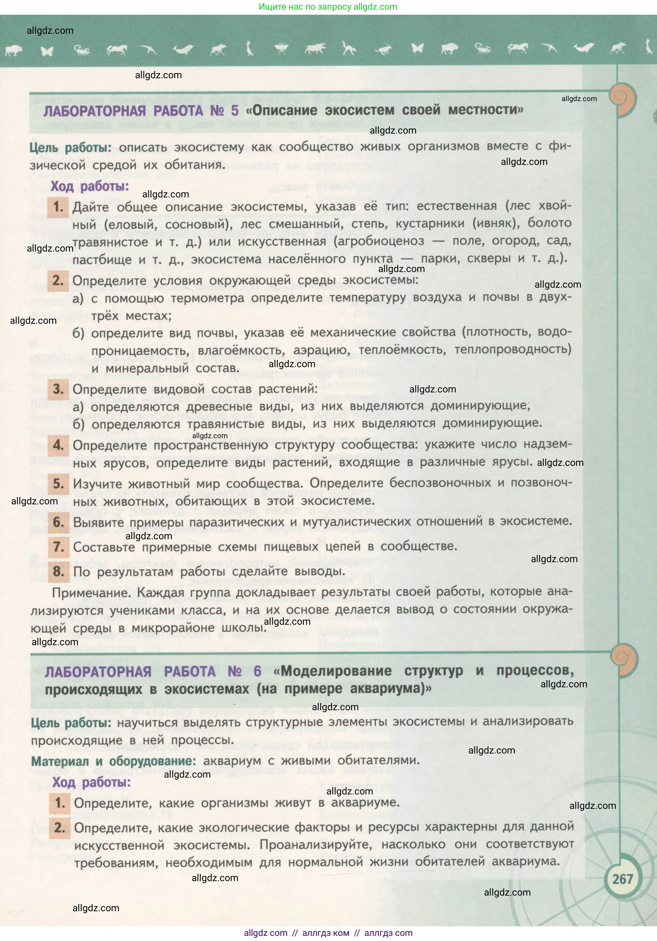 Биология, 11 класс Учебник, авторы: Пасечник Владимир Васильевич, Каменский Андрей Александрович, Рубцов Александр Михайлович, Швецов Глеб Геннадьевич, Гапонюк Зоя Георгиевна, издательство Просвещение, Москва, 2018, страница 267