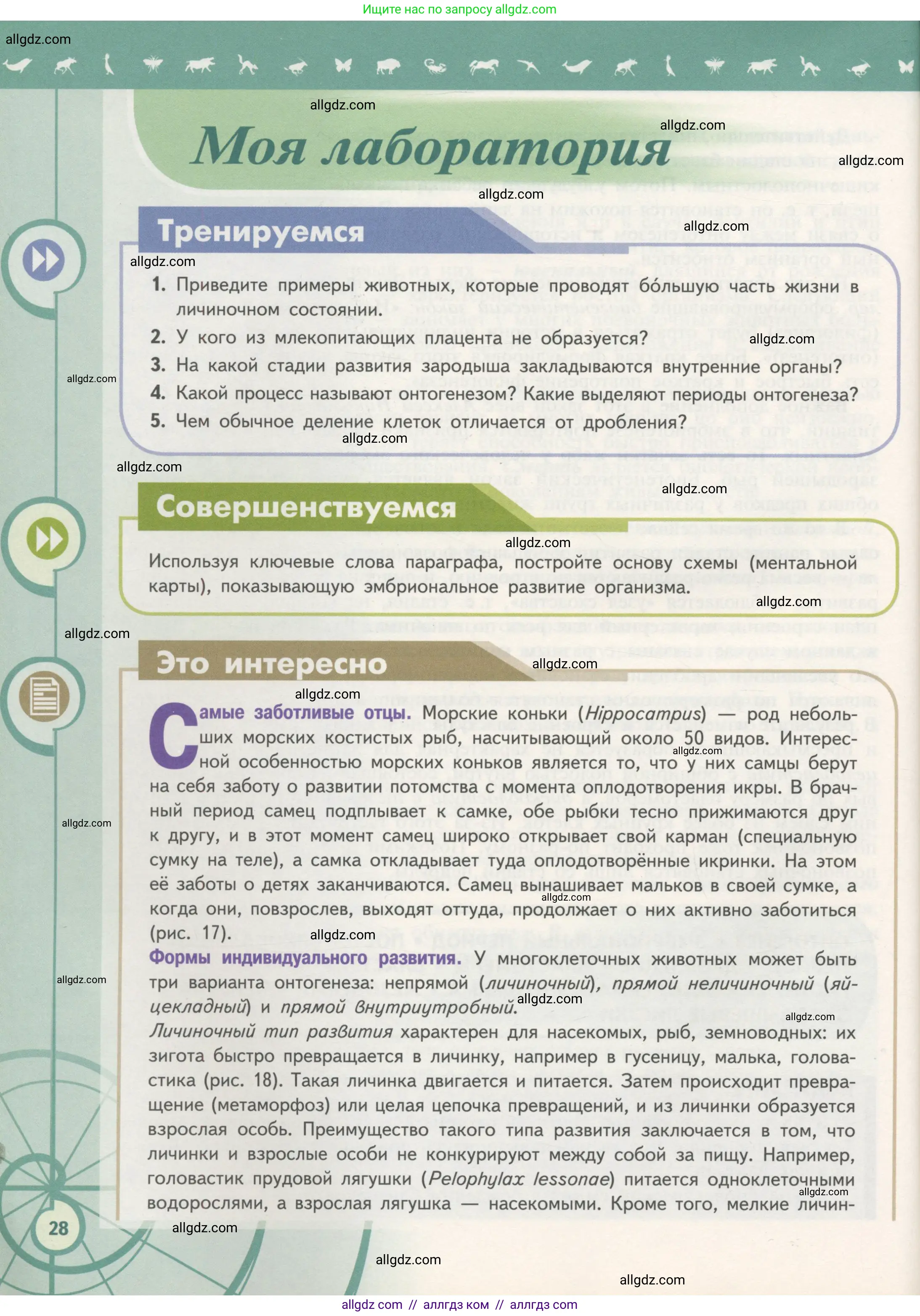 Биология, 11 класс Учебник, авторы: Пасечник Владимир Васильевич, Каменский Андрей Александрович, Рубцов Александр Михайлович, Швецов Глеб Геннадьевич, Гапонюк Зоя Георгиевна, издательство Просвещение, Москва, 2018, страница 28