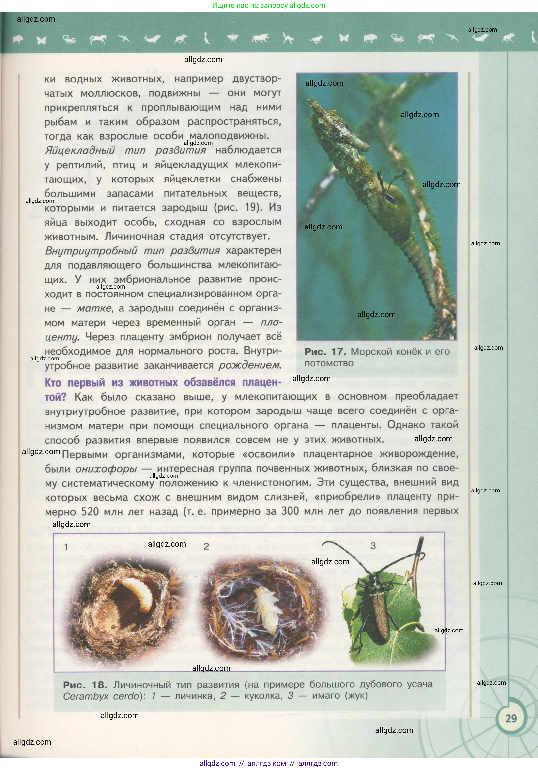 Биология, 11 класс Учебник, авторы: Пасечник Владимир Васильевич, Каменский Андрей Александрович, Рубцов Александр Михайлович, Швецов Глеб Геннадьевич, Гапонюк Зоя Георгиевна, издательство Просвещение, Москва, 2018, страница 29
