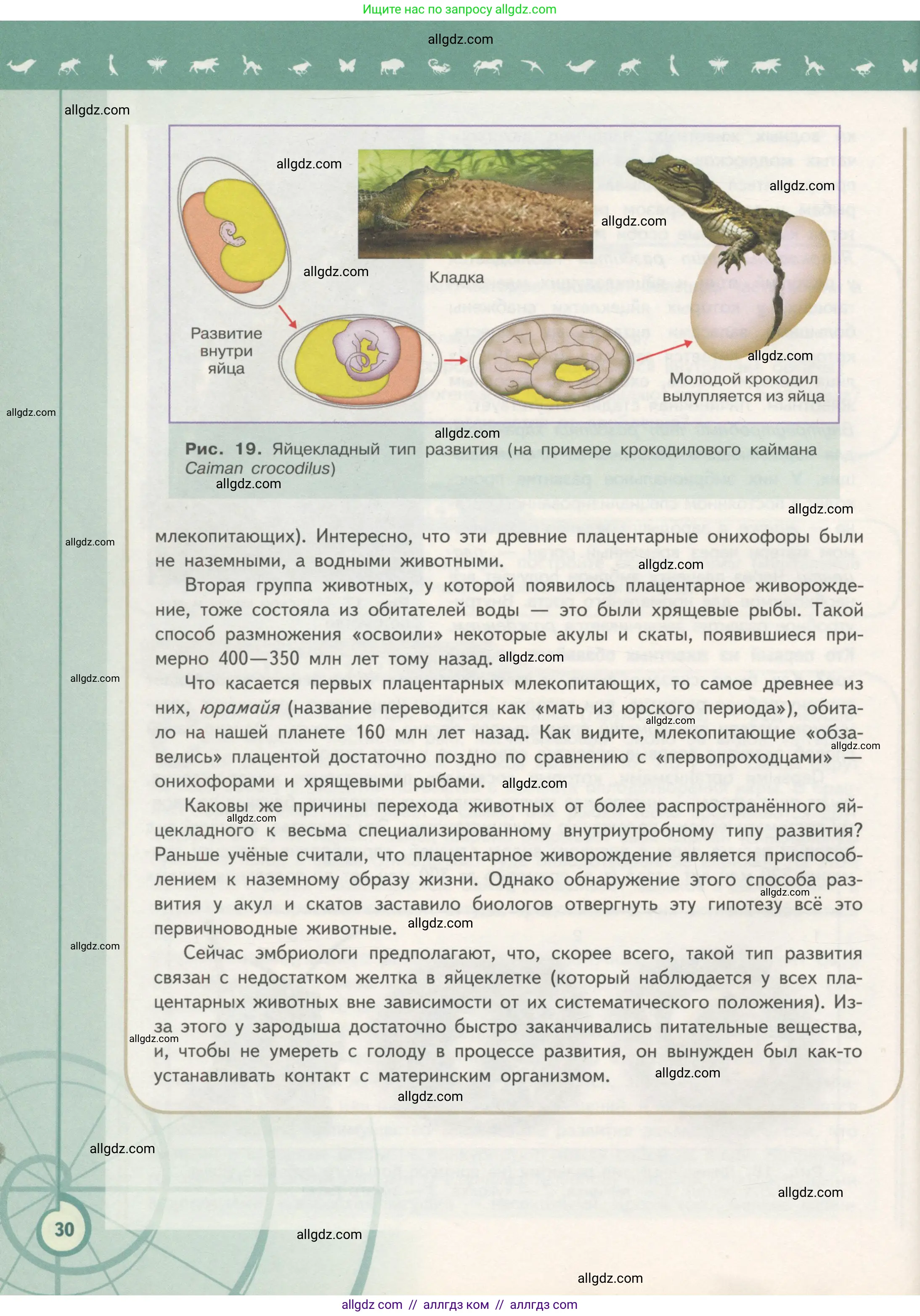 Биология, 11 класс Учебник, авторы: Пасечник Владимир Васильевич, Каменский Андрей Александрович, Рубцов Александр Михайлович, Швецов Глеб Геннадьевич, Гапонюк Зоя Георгиевна, издательство Просвещение, Москва, 2018, страница 30