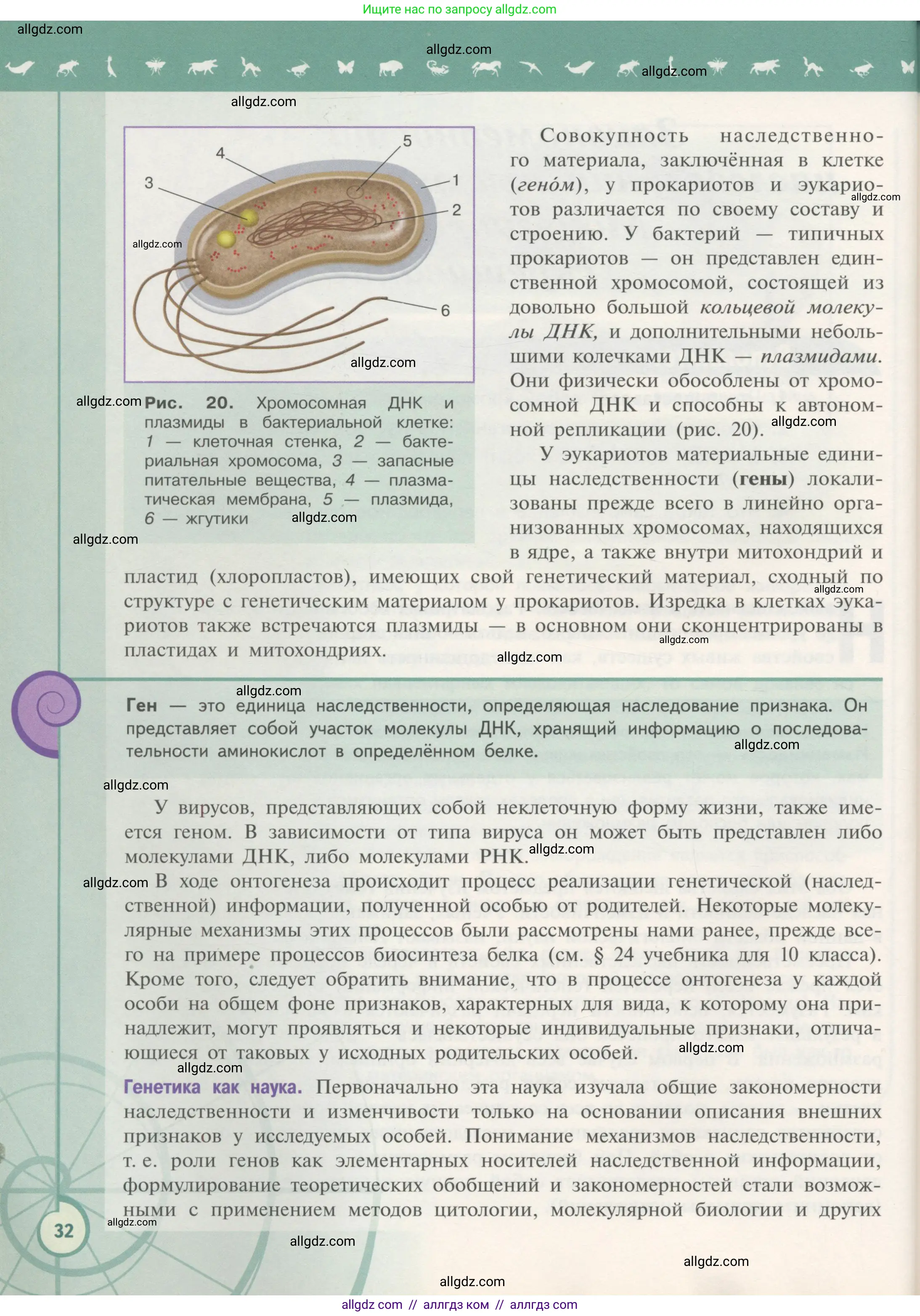 Биология, 11 класс Учебник, авторы: Пасечник Владимир Васильевич, Каменский Андрей Александрович, Рубцов Александр Михайлович, Швецов Глеб Геннадьевич, Гапонюк Зоя Георгиевна, издательство Просвещение, Москва, 2018, страница 32