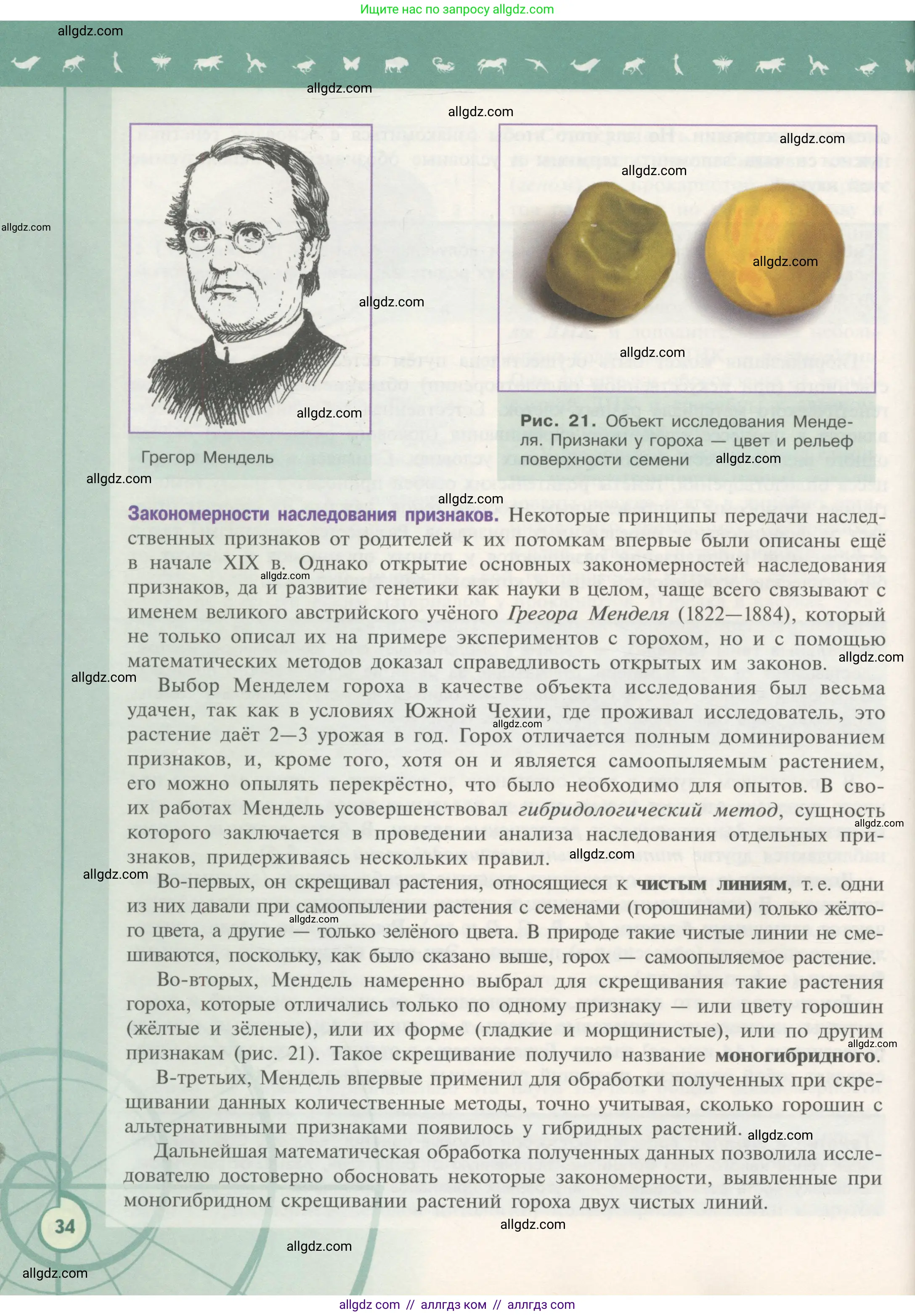 Биология, 11 класс Учебник, авторы: Пасечник Владимир Васильевич, Каменский Андрей Александрович, Рубцов Александр Михайлович, Швецов Глеб Геннадьевич, Гапонюк Зоя Георгиевна, издательство Просвещение, Москва, 2018, страница 34