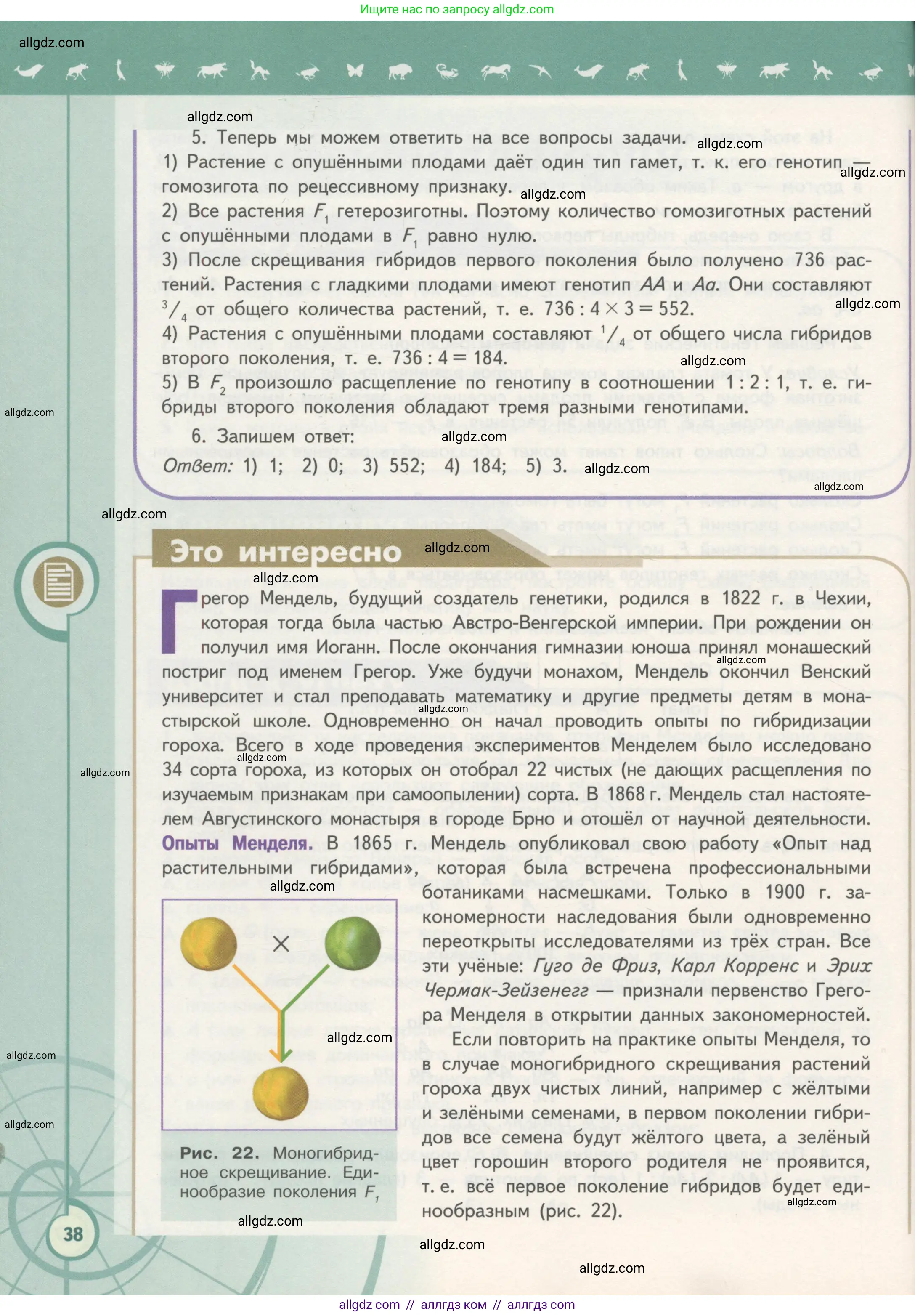 Биология, 11 класс Учебник, авторы: Пасечник Владимир Васильевич, Каменский Андрей Александрович, Рубцов Александр Михайлович, Швецов Глеб Геннадьевич, Гапонюк Зоя Георгиевна, издательство Просвещение, Москва, 2018, страница 38