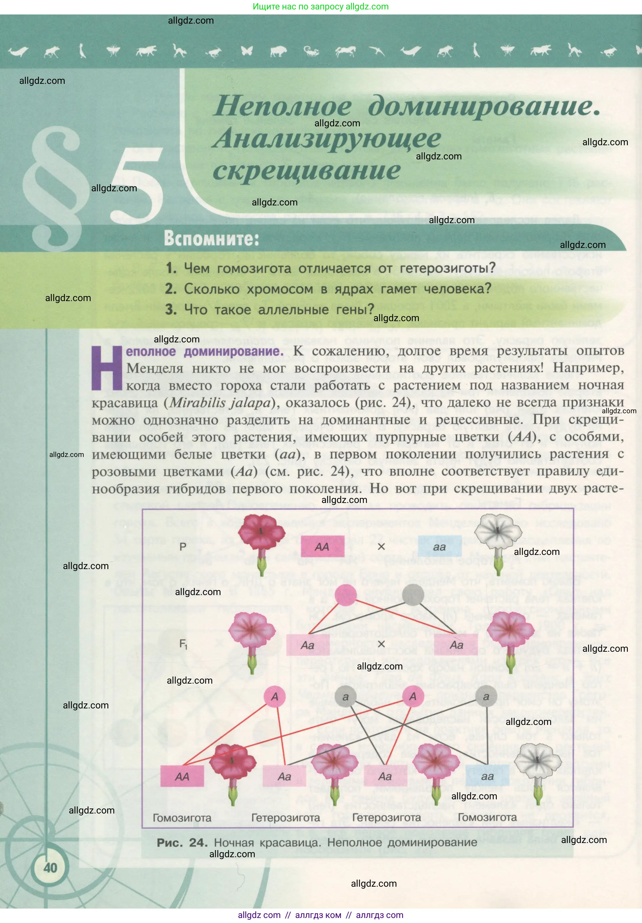 Биология, 11 класс Учебник, авторы: Пасечник Владимир Васильевич, Каменский Андрей Александрович, Рубцов Александр Михайлович, Швецов Глеб Геннадьевич, Гапонюк Зоя Георгиевна, издательство Просвещение, Москва, 2018, страница 40