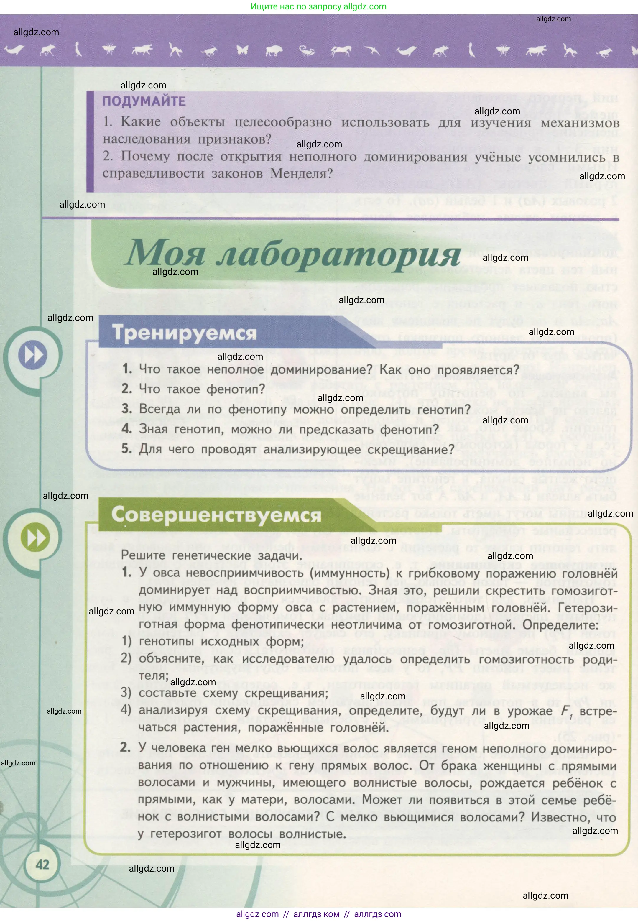 Биология, 11 класс Учебник, авторы: Пасечник Владимир Васильевич, Каменский Андрей Александрович, Рубцов Александр Михайлович, Швецов Глеб Геннадьевич, Гапонюк Зоя Георгиевна, издательство Просвещение, Москва, 2018, страница 42