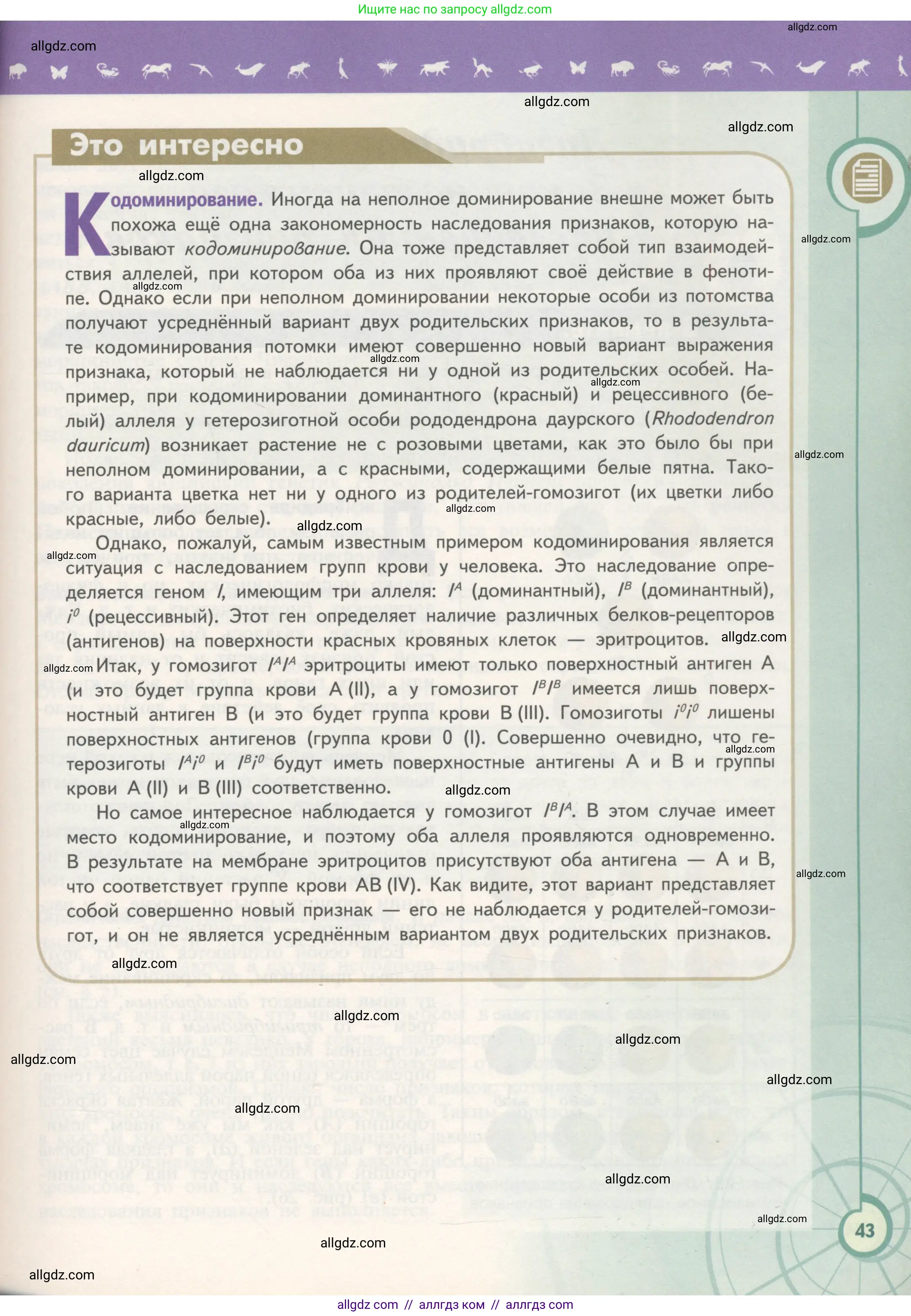 Биология, 11 класс Учебник, авторы: Пасечник Владимир Васильевич, Каменский Андрей Александрович, Рубцов Александр Михайлович, Швецов Глеб Геннадьевич, Гапонюк Зоя Георгиевна, издательство Просвещение, Москва, 2018, страница 43