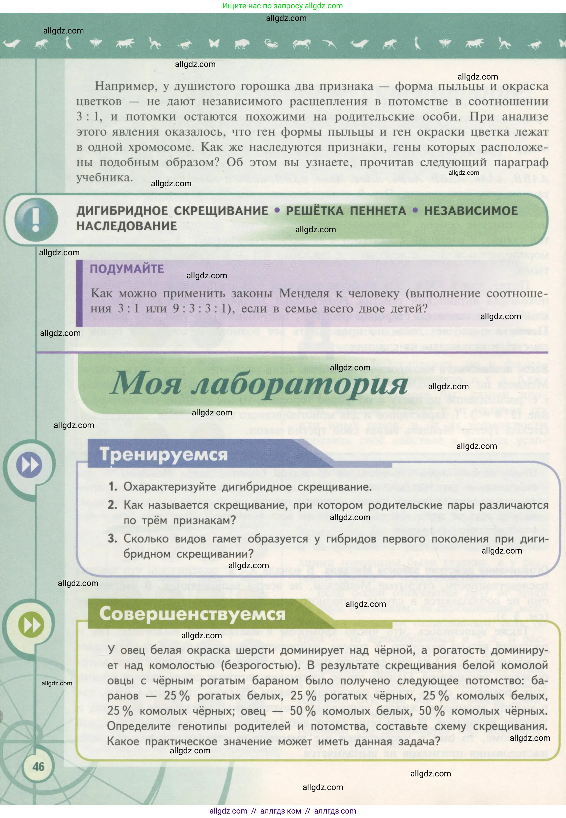 Биология, 11 класс Учебник, авторы: Пасечник Владимир Васильевич, Каменский Андрей Александрович, Рубцов Александр Михайлович, Швецов Глеб Геннадьевич, Гапонюк Зоя Георгиевна, издательство Просвещение, Москва, 2018, страница 46