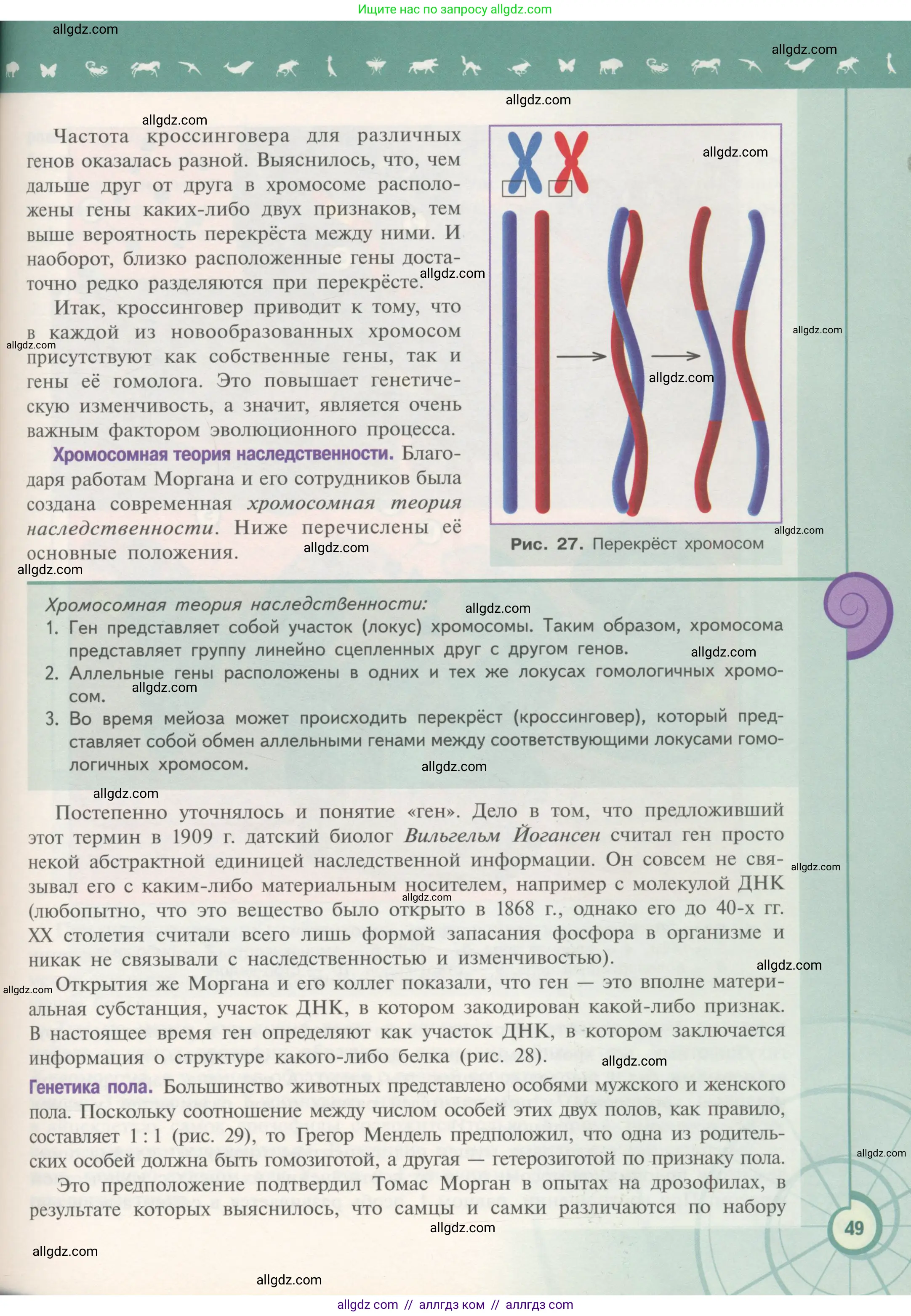 Биология, 11 класс Учебник, авторы: Пасечник Владимир Васильевич, Каменский Андрей Александрович, Рубцов Александр Михайлович, Швецов Глеб Геннадьевич, Гапонюк Зоя Георгиевна, издательство Просвещение, Москва, 2018, страница 49