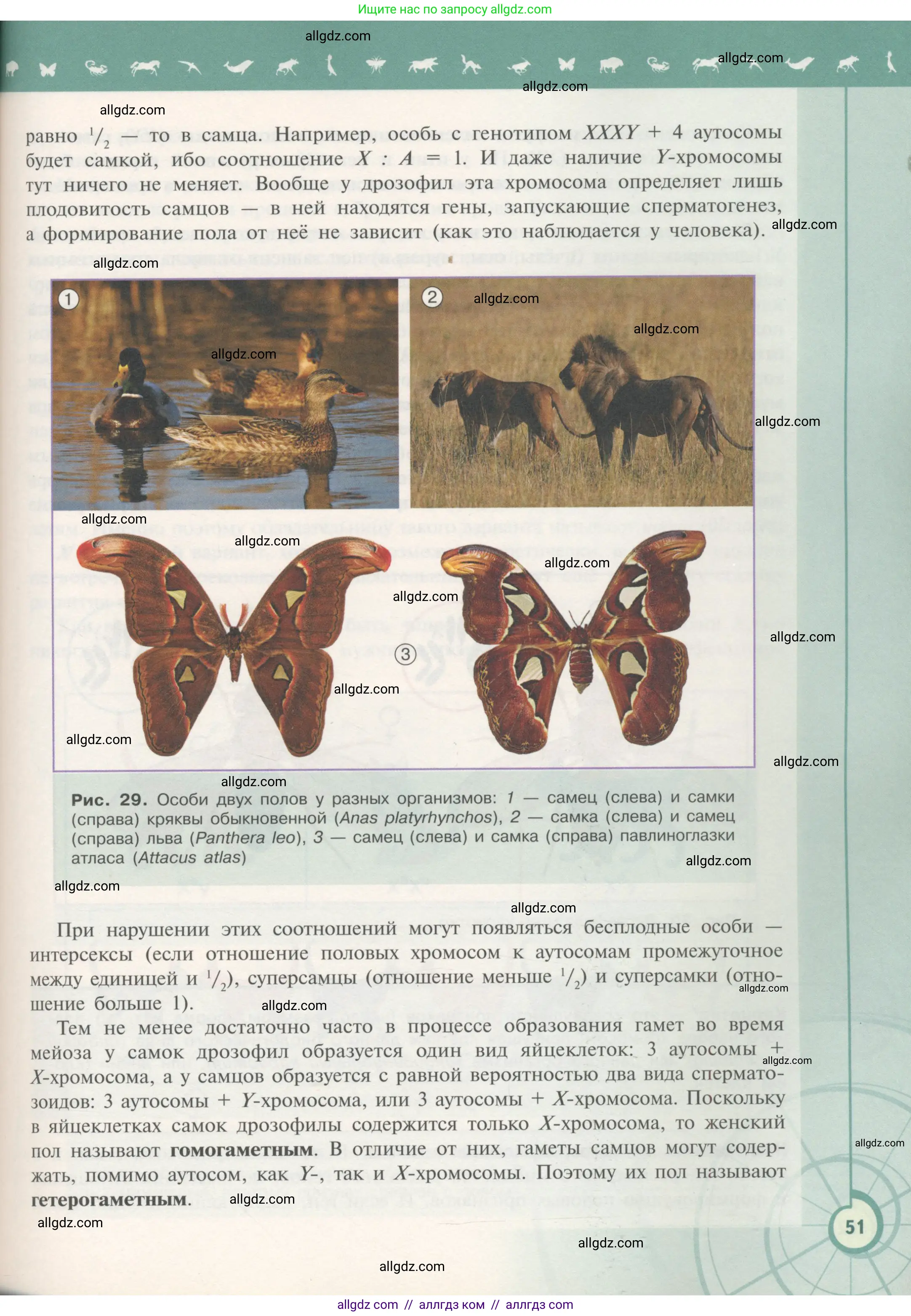Биология, 11 класс Учебник, авторы: Пасечник Владимир Васильевич, Каменский Андрей Александрович, Рубцов Александр Михайлович, Швецов Глеб Геннадьевич, Гапонюк Зоя Георгиевна, издательство Просвещение, Москва, 2018, страница 51