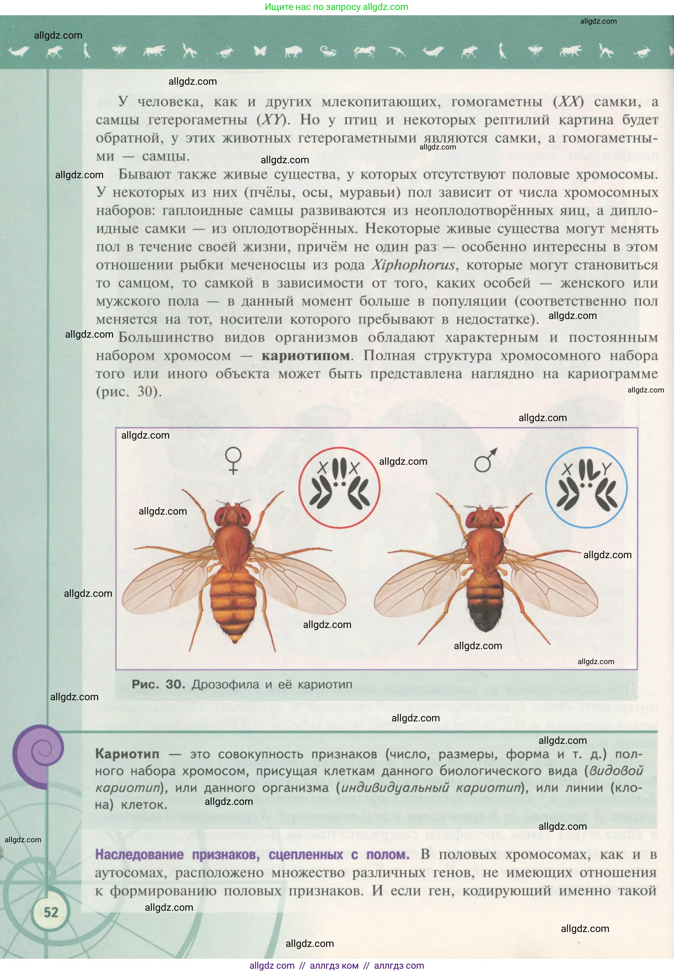 Биология, 11 класс Учебник, авторы: Пасечник Владимир Васильевич, Каменский Андрей Александрович, Рубцов Александр Михайлович, Швецов Глеб Геннадьевич, Гапонюк Зоя Георгиевна, издательство Просвещение, Москва, 2018, страница 52